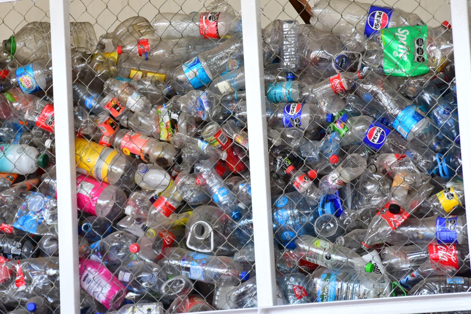 Presenta Municipio de Aguascalientes resultados del programa ‘Lunes, de basura que no es basura’