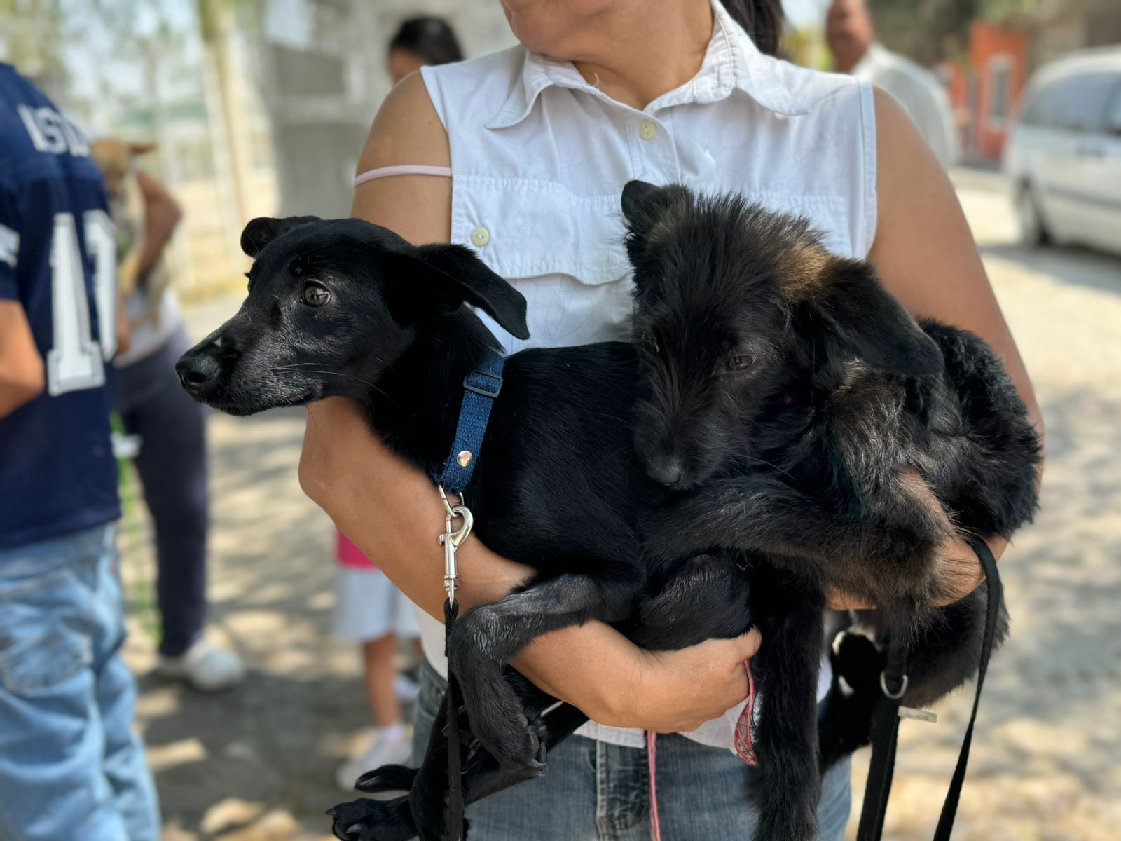 Invita Municipio a participar en las próximas fechas de la campaña de esterilización en el quirófano veterinario móvil
