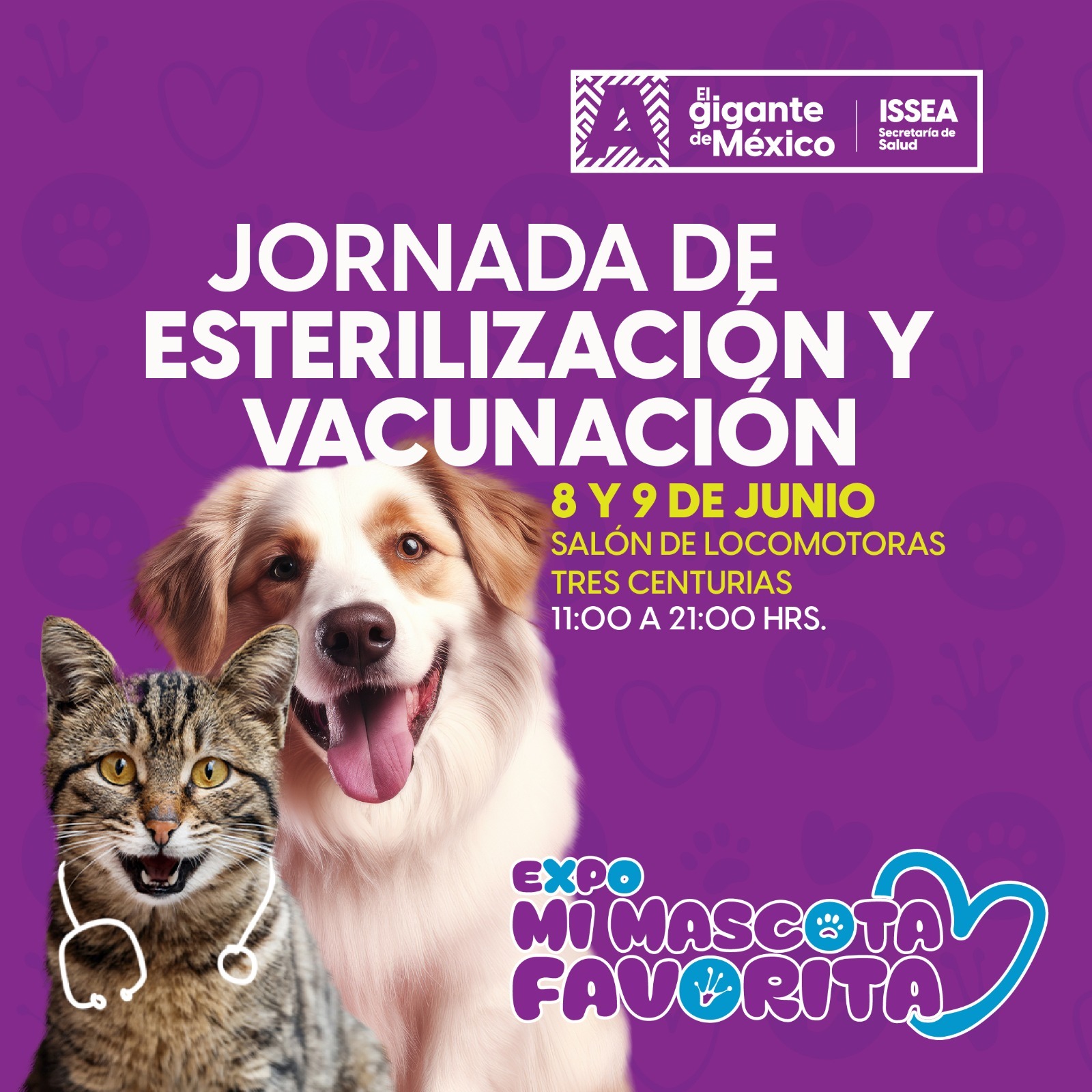Servicios gratuitos de veterinaria este fin de semana en ‘Expo Mi Mascota Favorita’