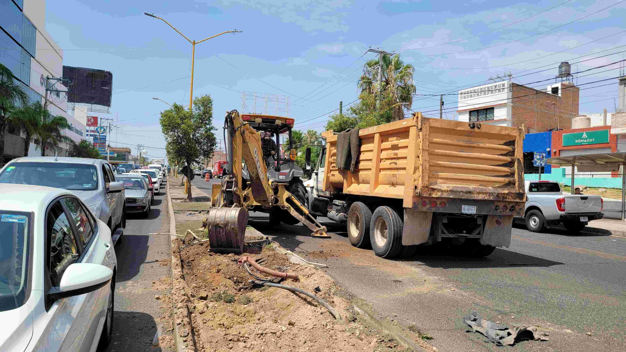 Refuerza Municipio de Aguascalientes acciones de reforestación