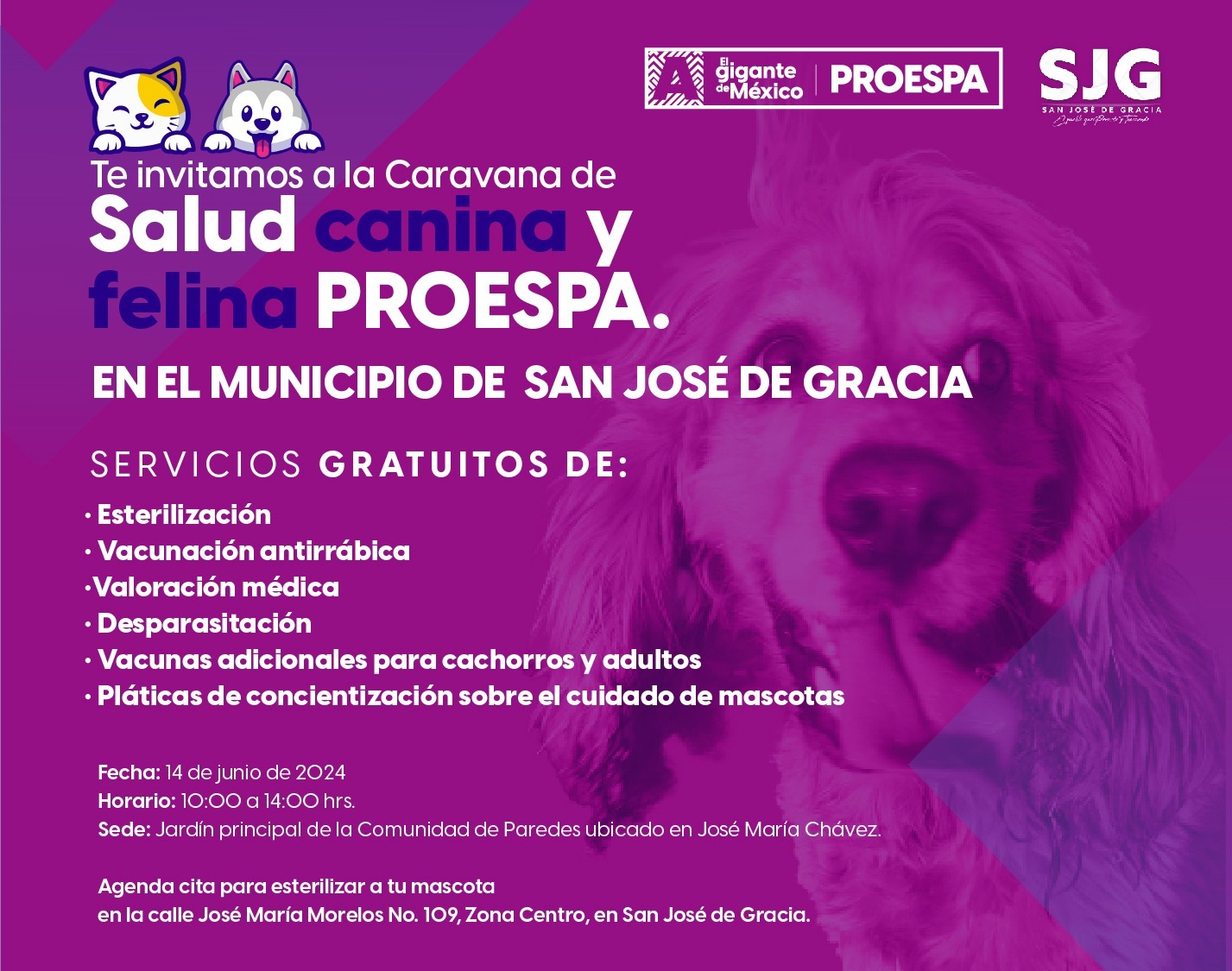 Servicios veterinarios gratuitos llegan a San José de Gracia este viernes 14 de junio