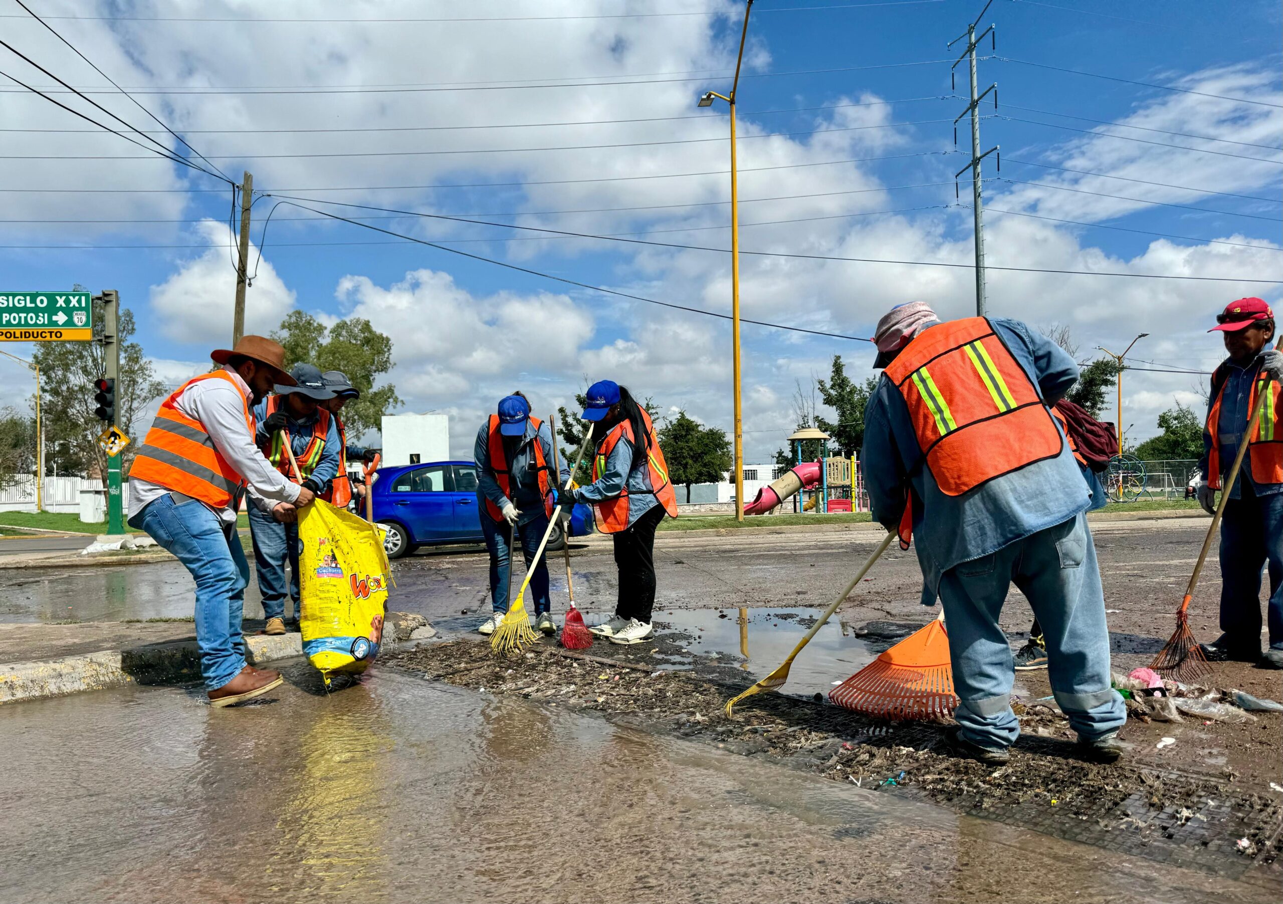 Intensifica municipio limpia de caimanes en Línea Verde