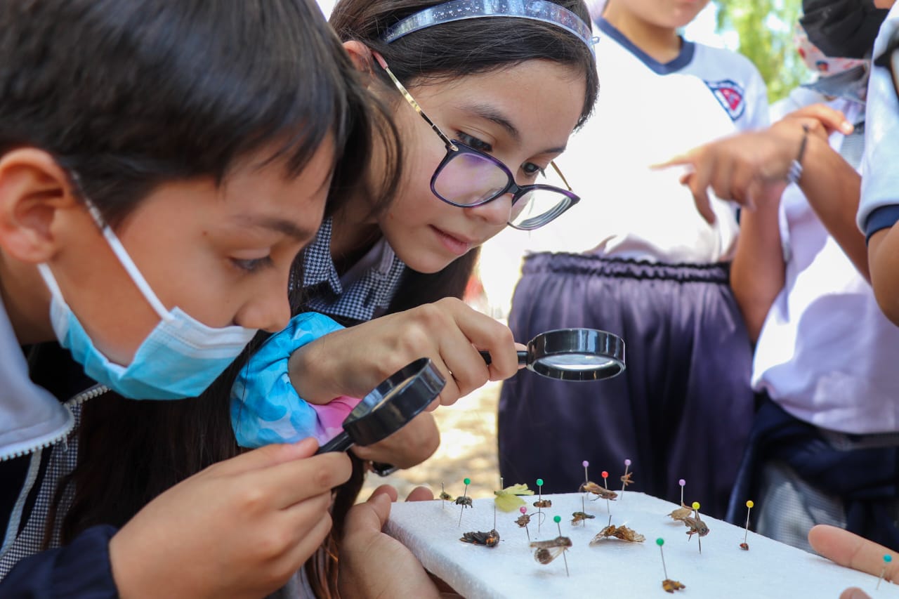 Ofrece SEMADESU curso de verano gratuito “Vacaciones Felices Juntos por el Planeta”