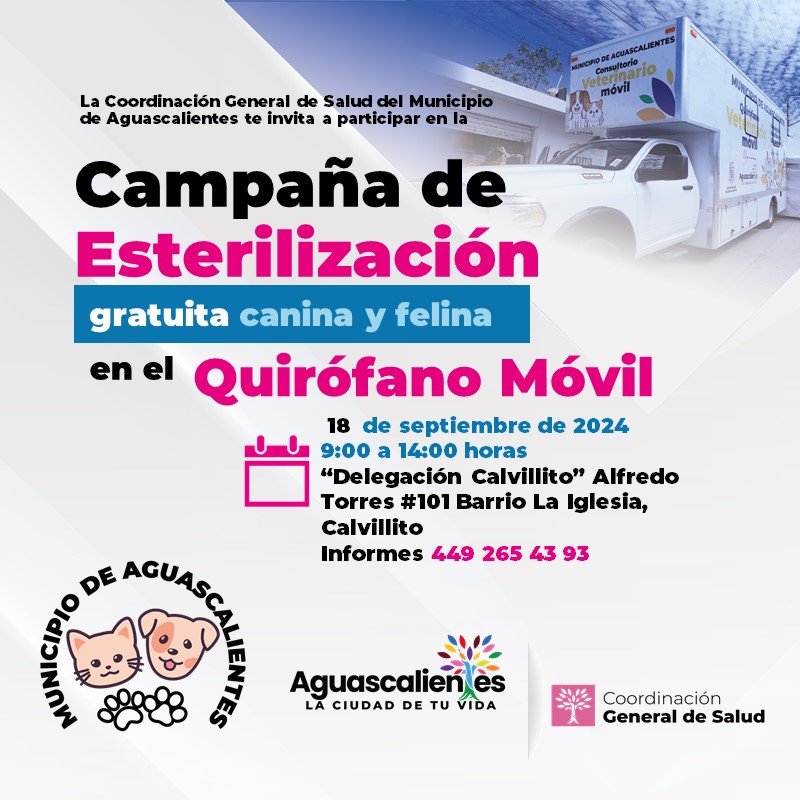 Esta imagen tiene un atributo ALT vacío; su nombre de archivo es Diapositiva1-13.jpg
