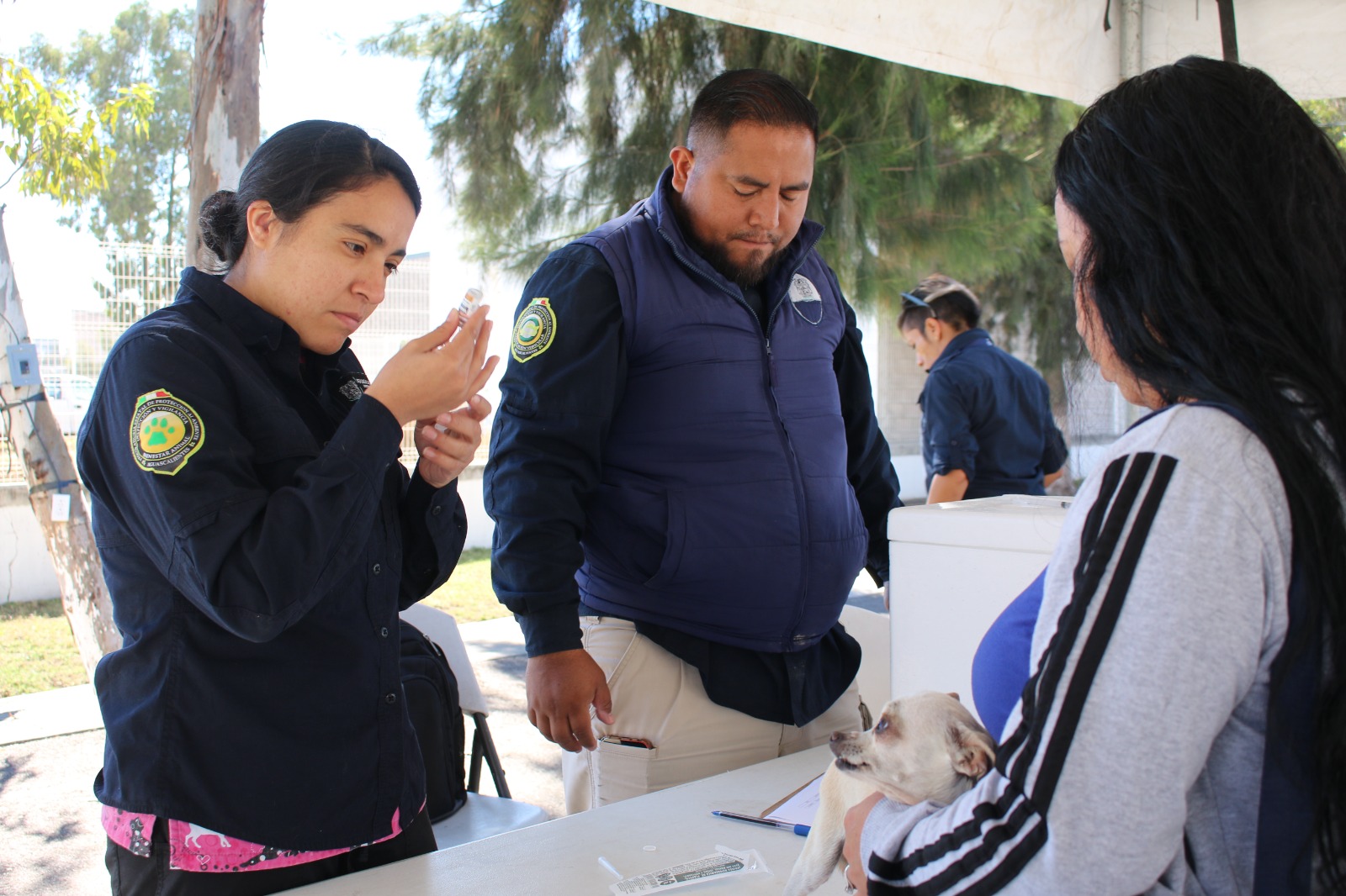 Llegan servicios veterinarios gratuitos a Los Alamitos en Tepezalá