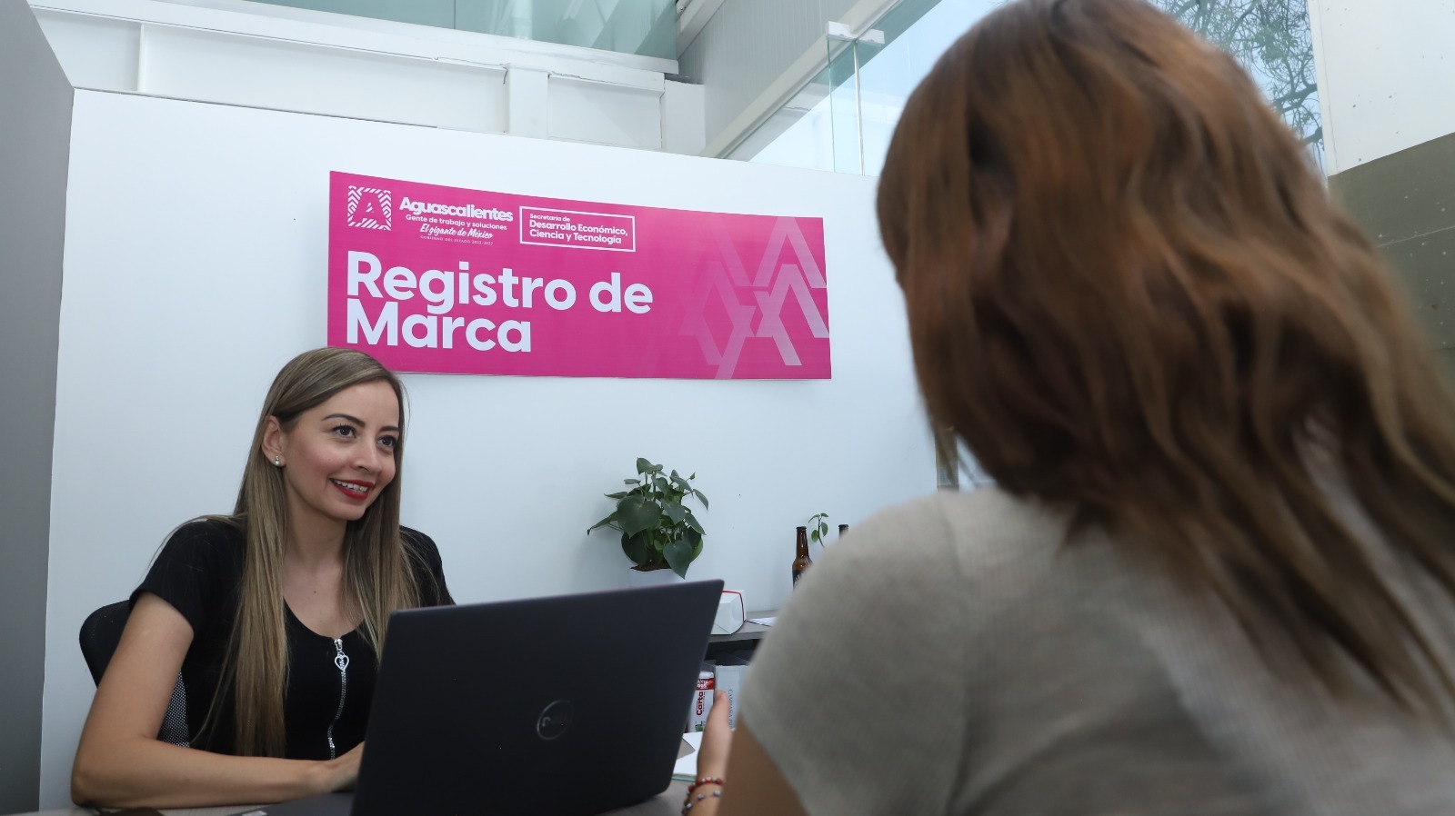 Gobierno del Estado apoya a empresarios para registrar sus marcas y así acceder a nuevos mercados comerciales