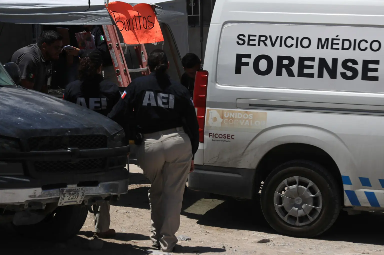 Sheinbaum destaca reducción del 28.7% en homicidios en México desde 2018″
