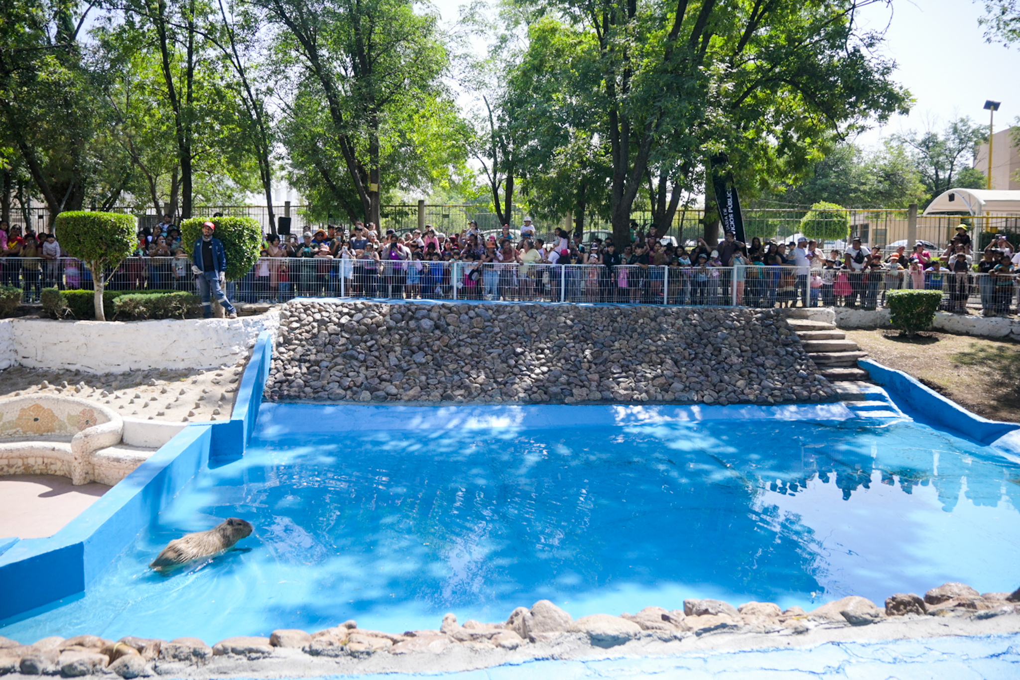 Un oasis en el corazón de Aguascalientes: El Parque Hidalgo