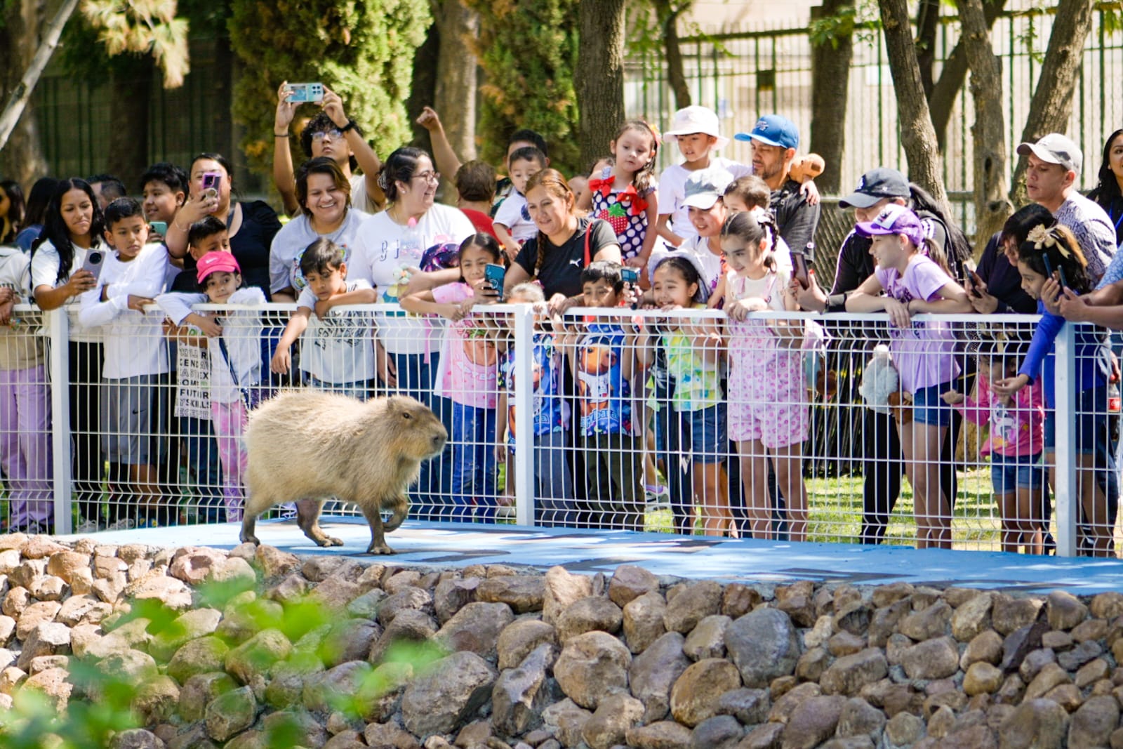 Conmemora Municipio de Aguascalientes el “Día de las y los Niños» en el parque Hidalgo