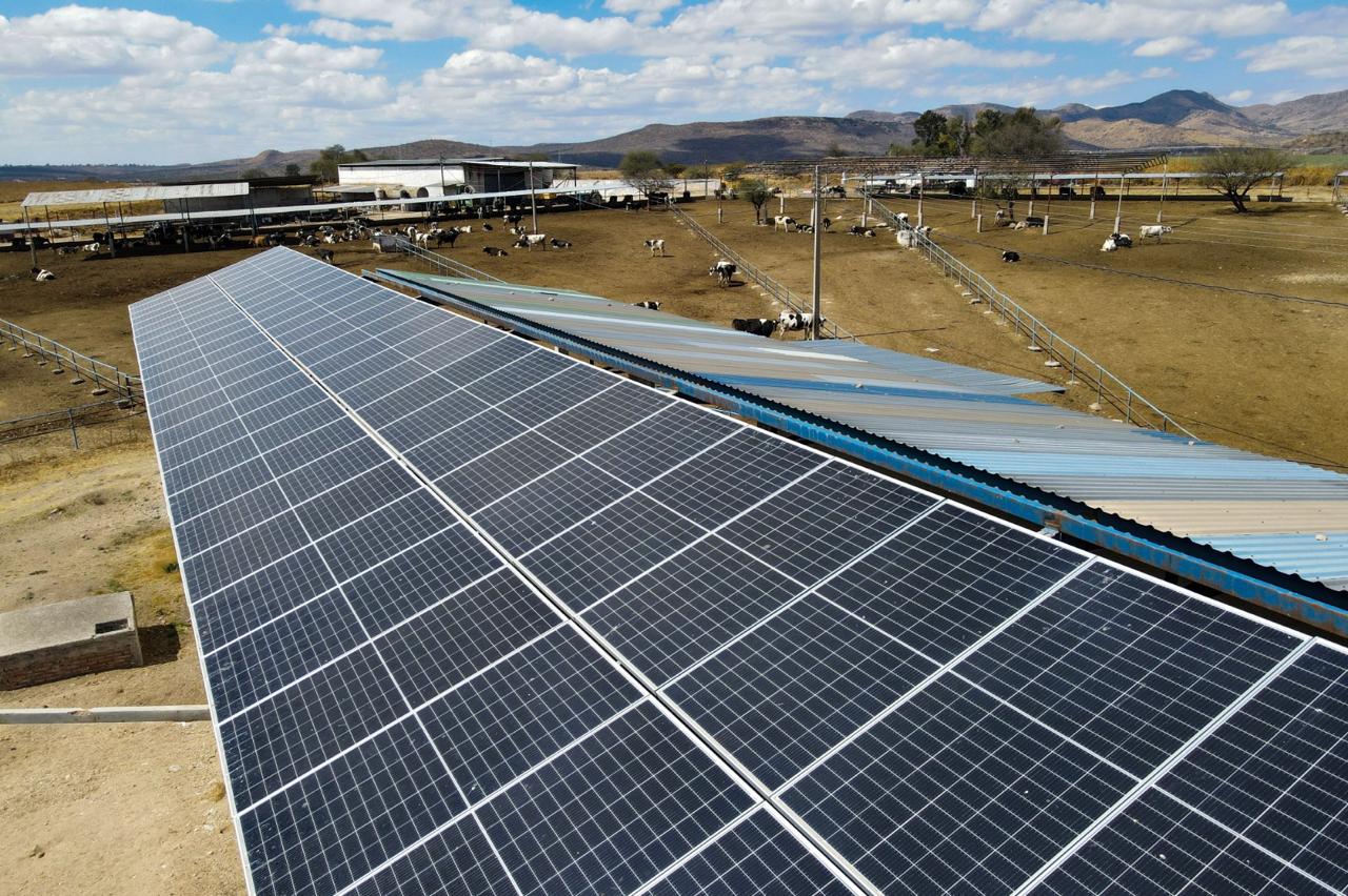 Lecheros y productores acuícolas podrán obtener paneles solares con apoyo del Gobierno del Estado
