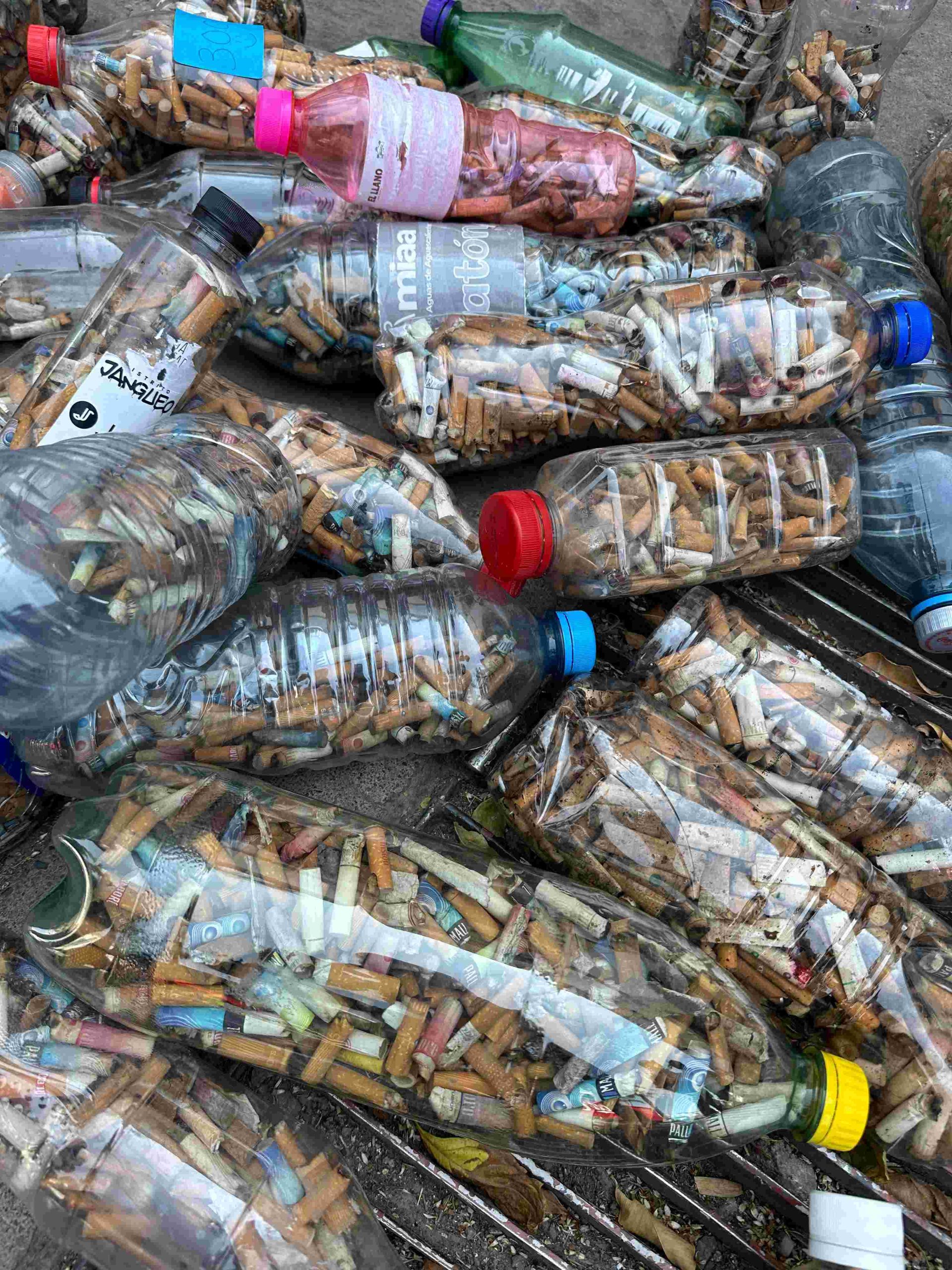 Invita MIAA a sumarse a la recolección masiva de colillas en el marco del Día Mundial sin Tabaco