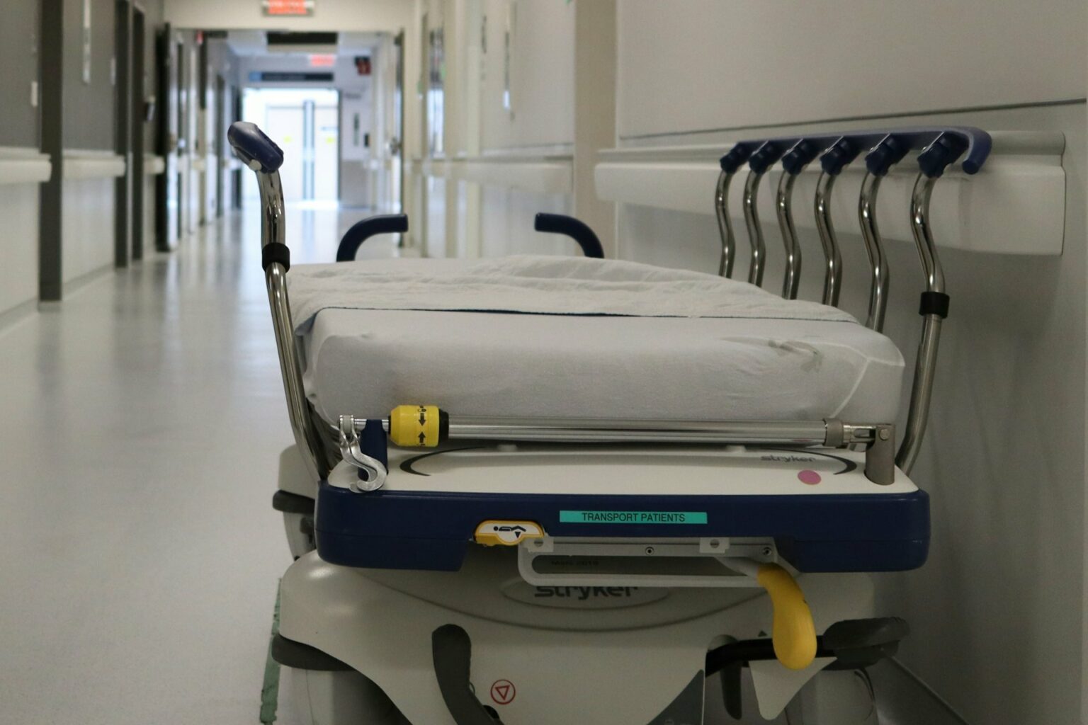 Detectan Casos de Miasis Humana por Gusano Barrenador en México