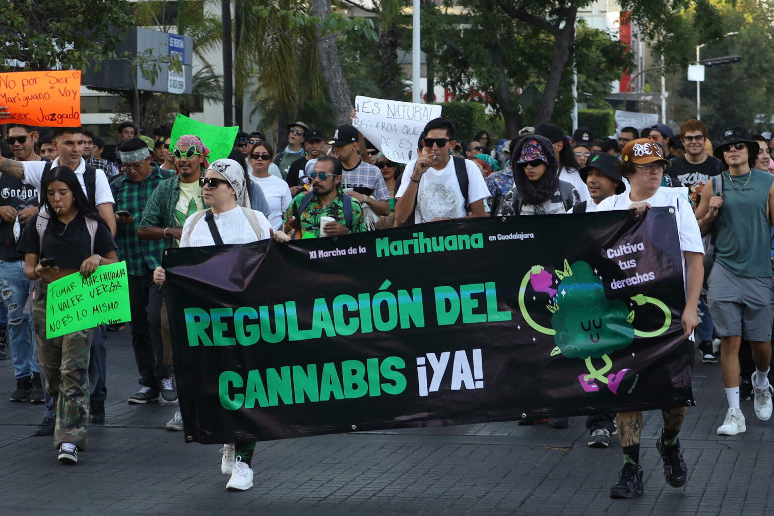 Activistas demandan regulación del uso recreativo de la marihuana en México
