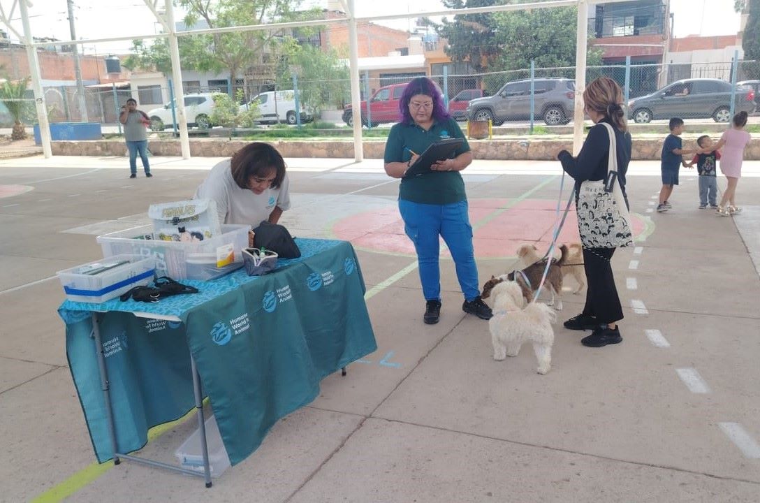 La Clínica Veterinaria Móvil brindará servicio en las comunidades rurales