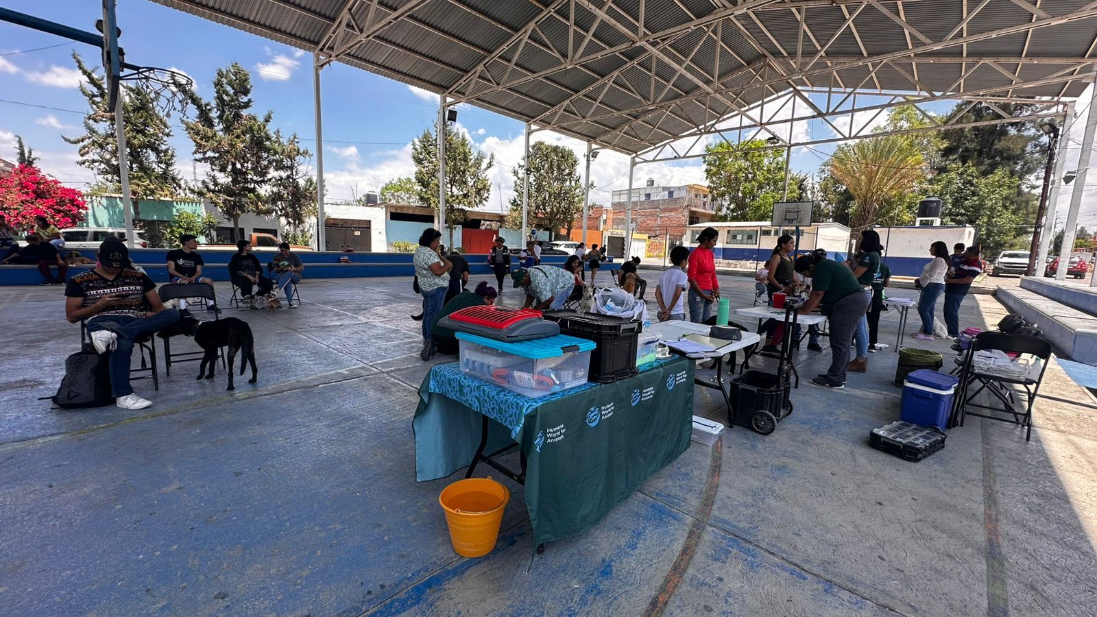 Nuevas fechas de la Clínica Veterinaria Móvil en comunidades rurales