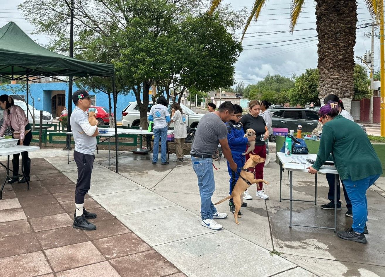 a Clínica Veterinaria Móvil dará servicio en cuatro comunidades de Cañada Honda