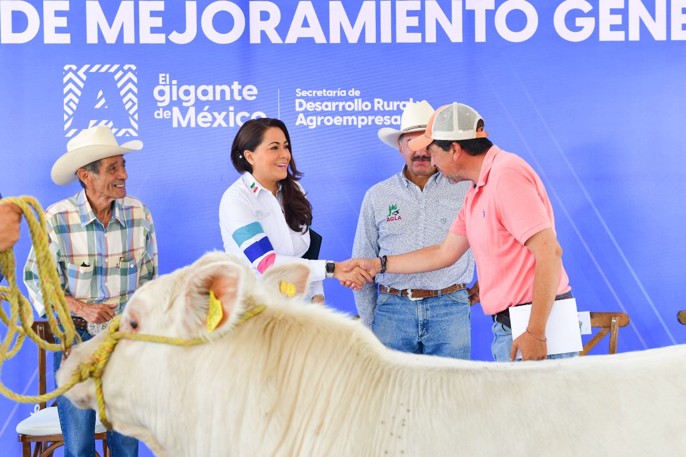 Tere Jiménez entrega apoyo a ganaderos como parte del programa de mejoramiento genético