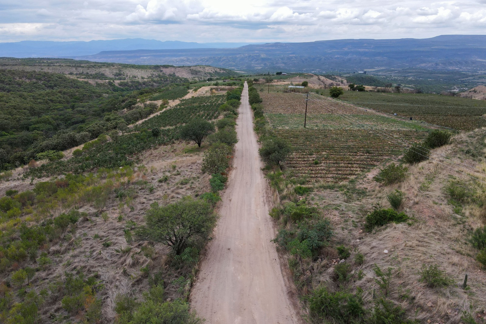 Caminos saca cosecha impulsan la productividad del campo en Aguascalientes
