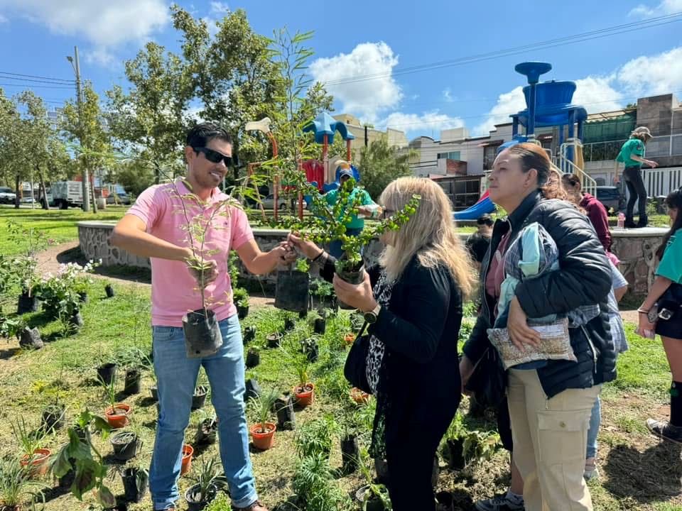 Realizarán reforestación comunitaria en la Línea Verde