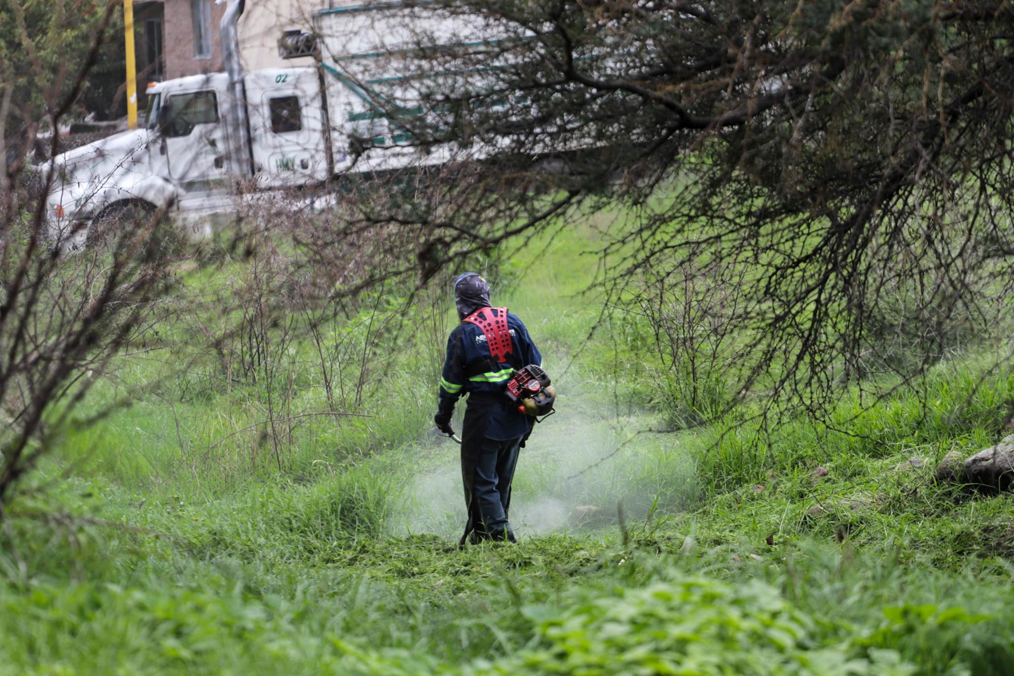 Retira municipio 36 toneladas de residuos en megaoperativo de limpieza en Valle de los Cactus