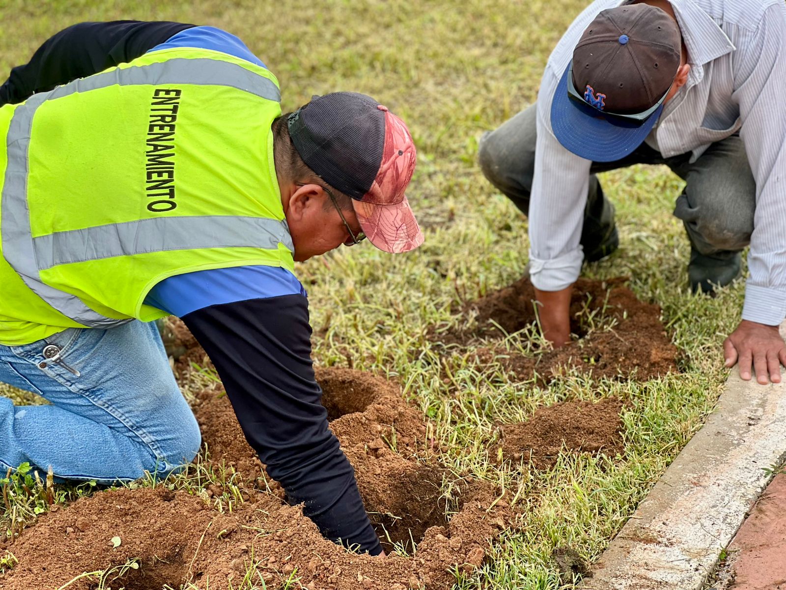 Megarreforestación en el Parque Rodolfo Landeros y otras actividades en las inmediaciones del Parque México, este sábado