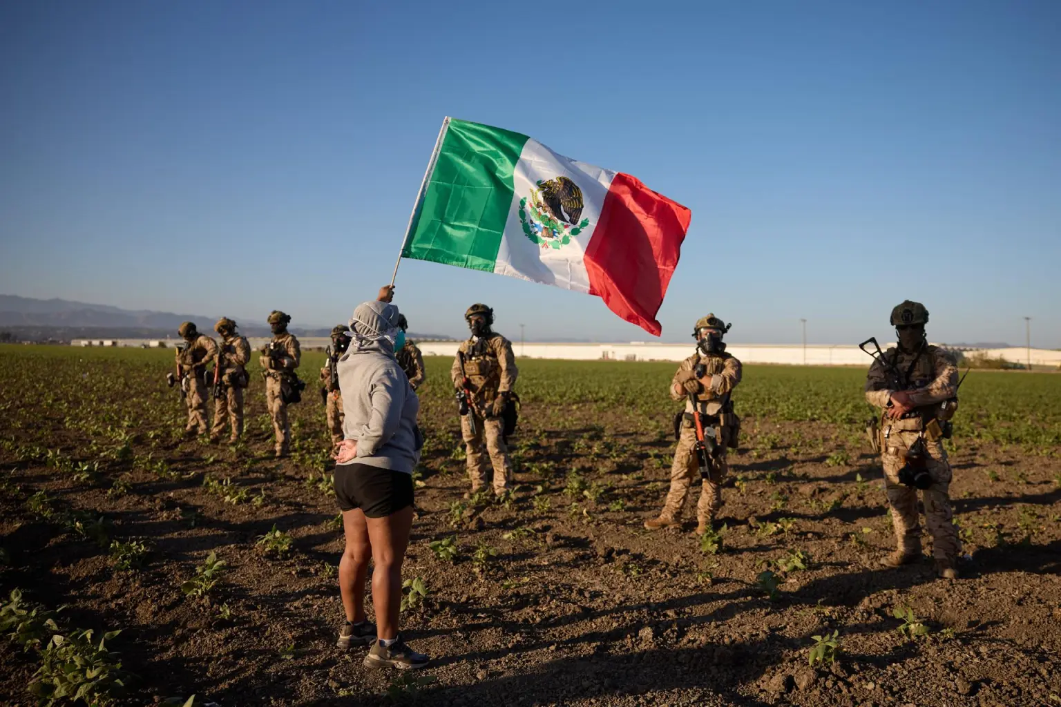 Sheinbaum confirma 355 mexicanos detenidos tras redadas en EE.UU.