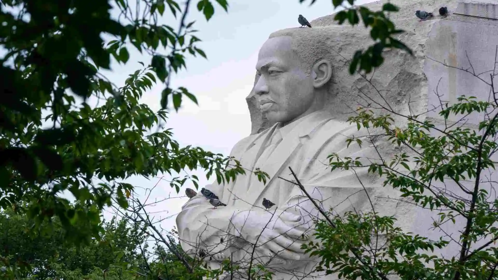 EE.UU. desclasifica más de 230 mil páginas sobre el asesinato de Martin Luther King Jr.