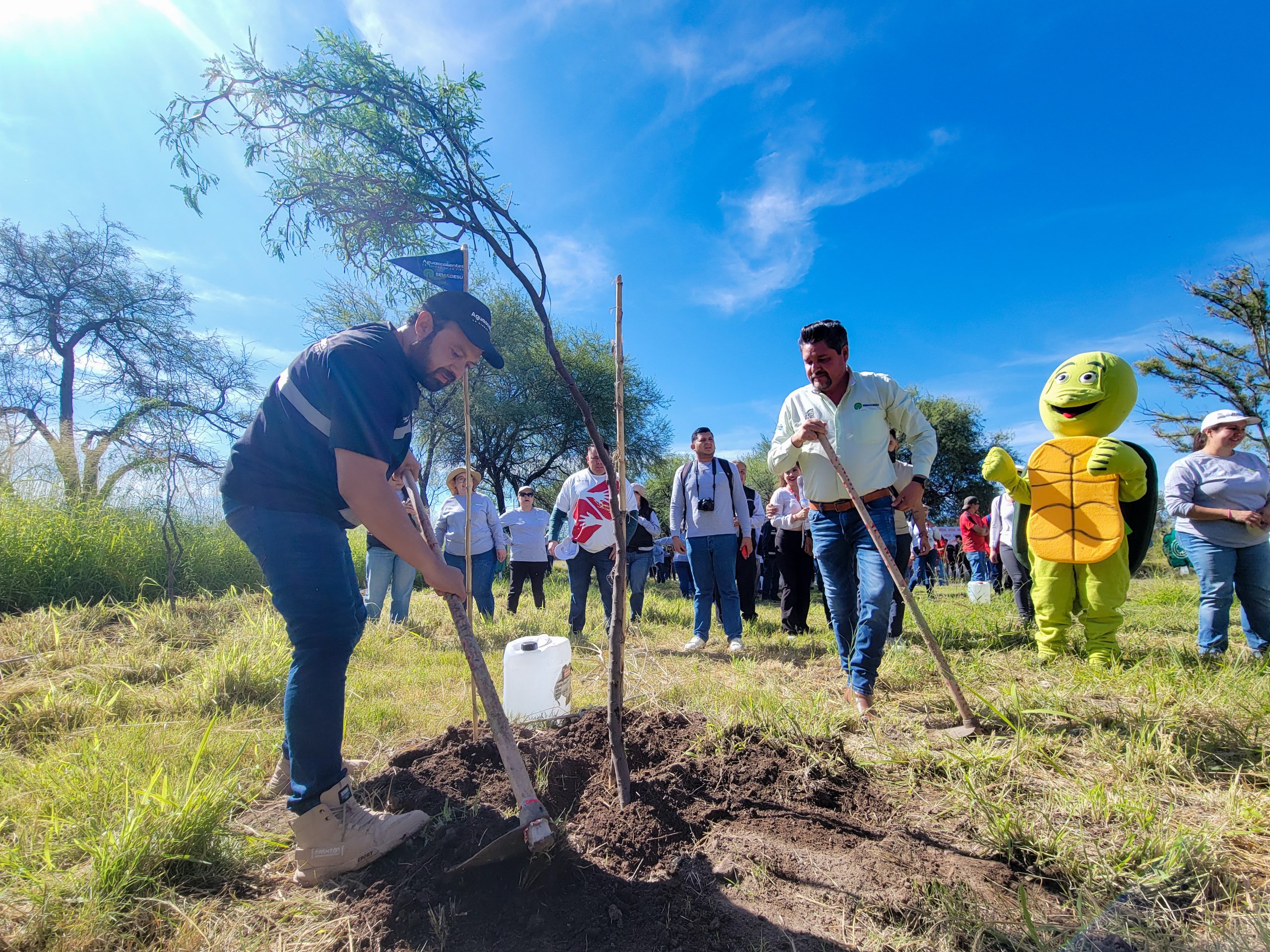 Establece municipio alianza estratégica en favor del Medio Ambiente, impulsa jornada de reforestación en La Pona