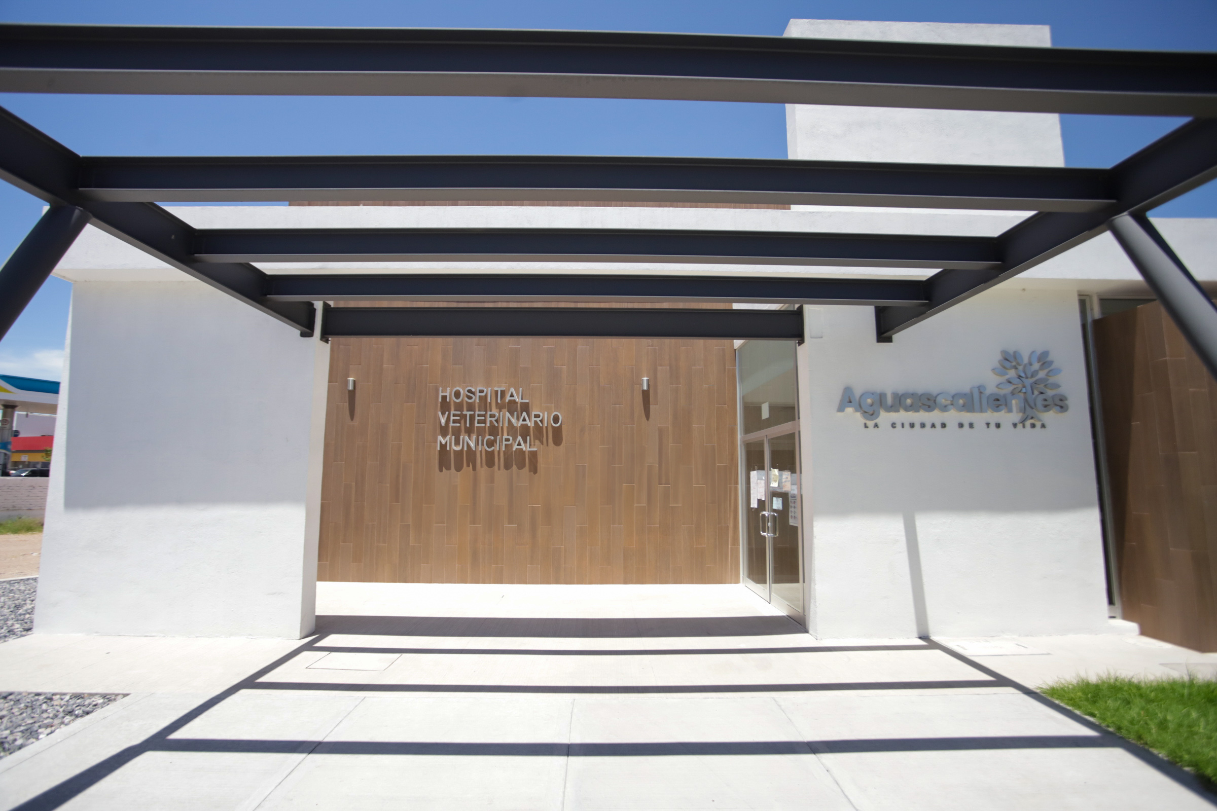 Hospital Veterinario Municipal estará listo en septiembre