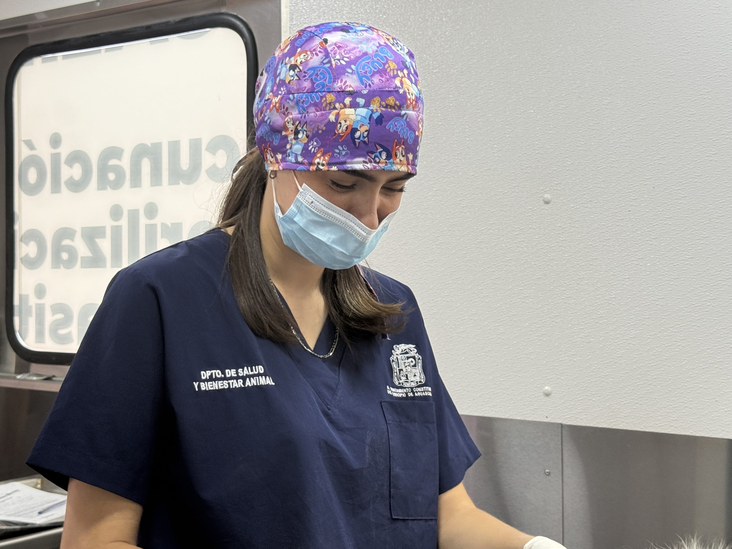 Municipio llevará esterilizaciones caninas y felinas a Villa Canto y Ladrilleras de Los Arellano