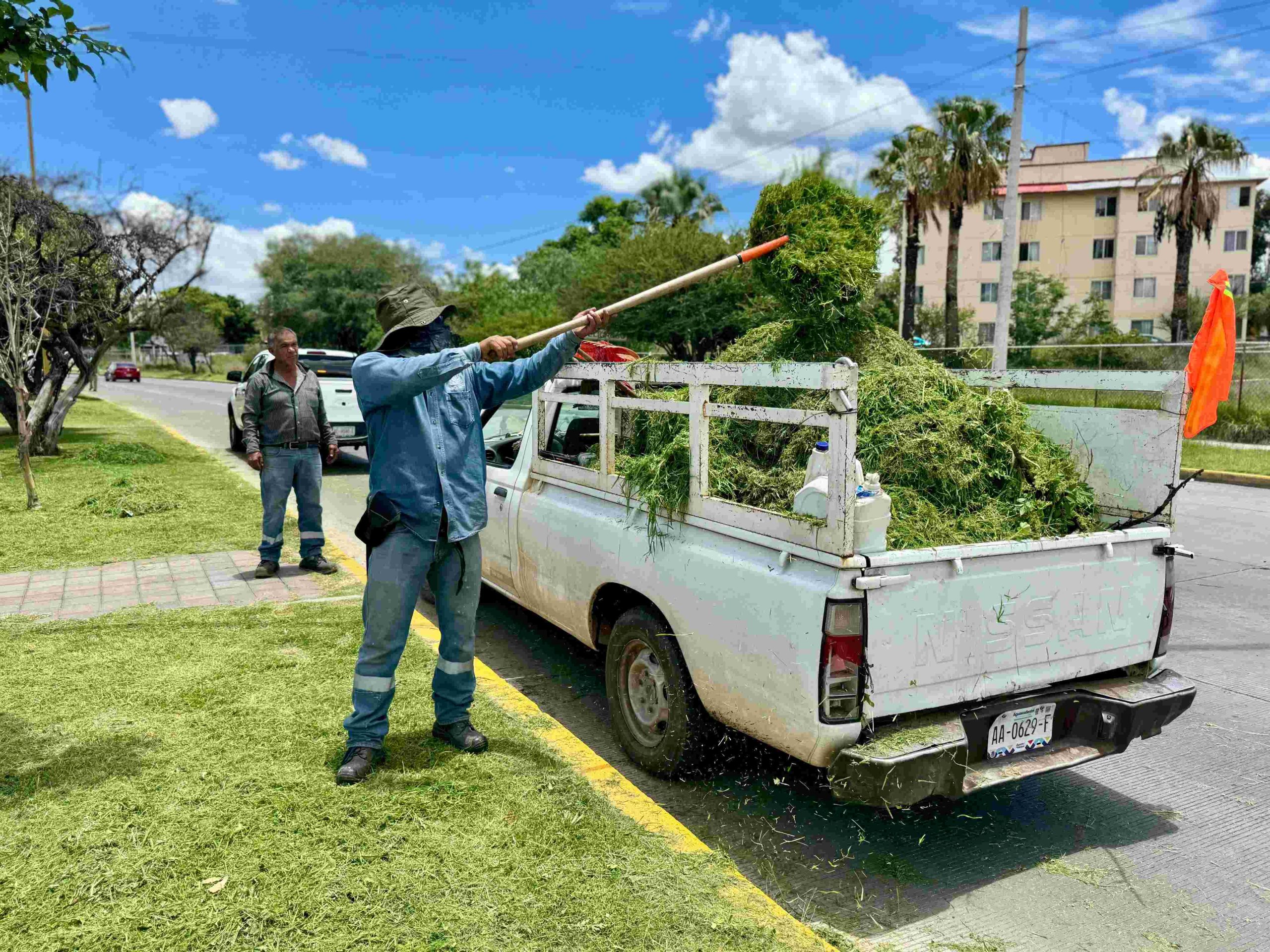 Refuerza municipio mantenimiento de camellón central de Primer Anillo