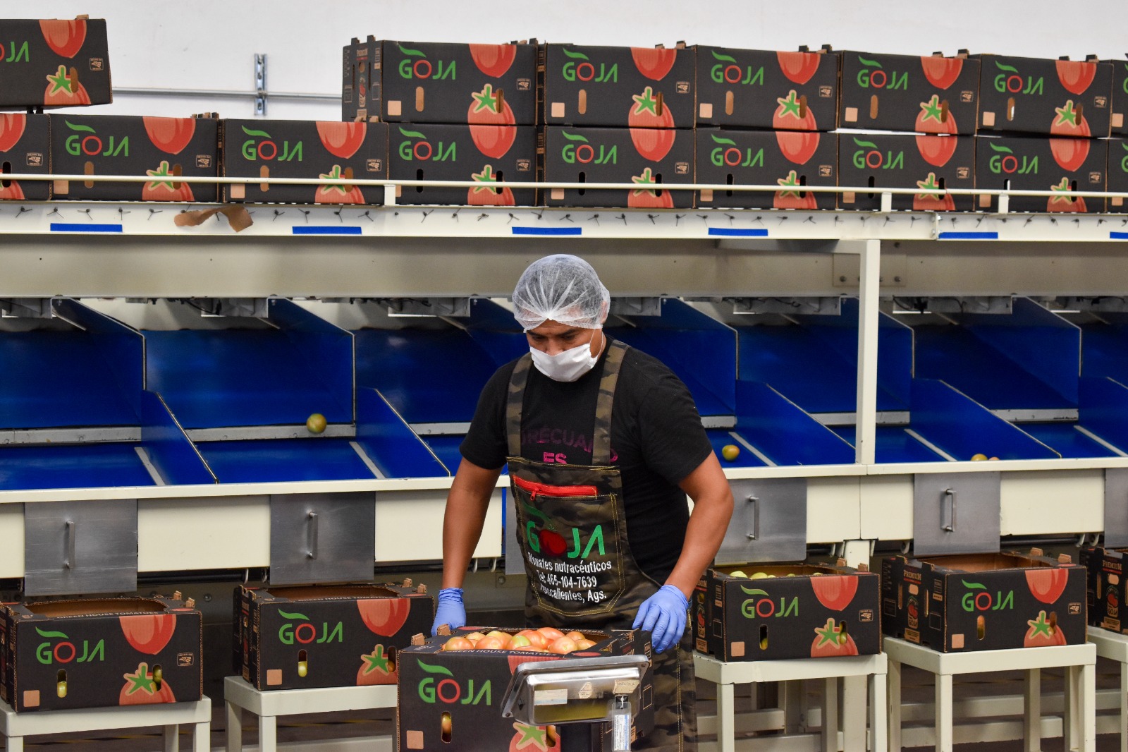 Gobierno de Aguascalientes impulsa la exportación de productos agroalimentarios