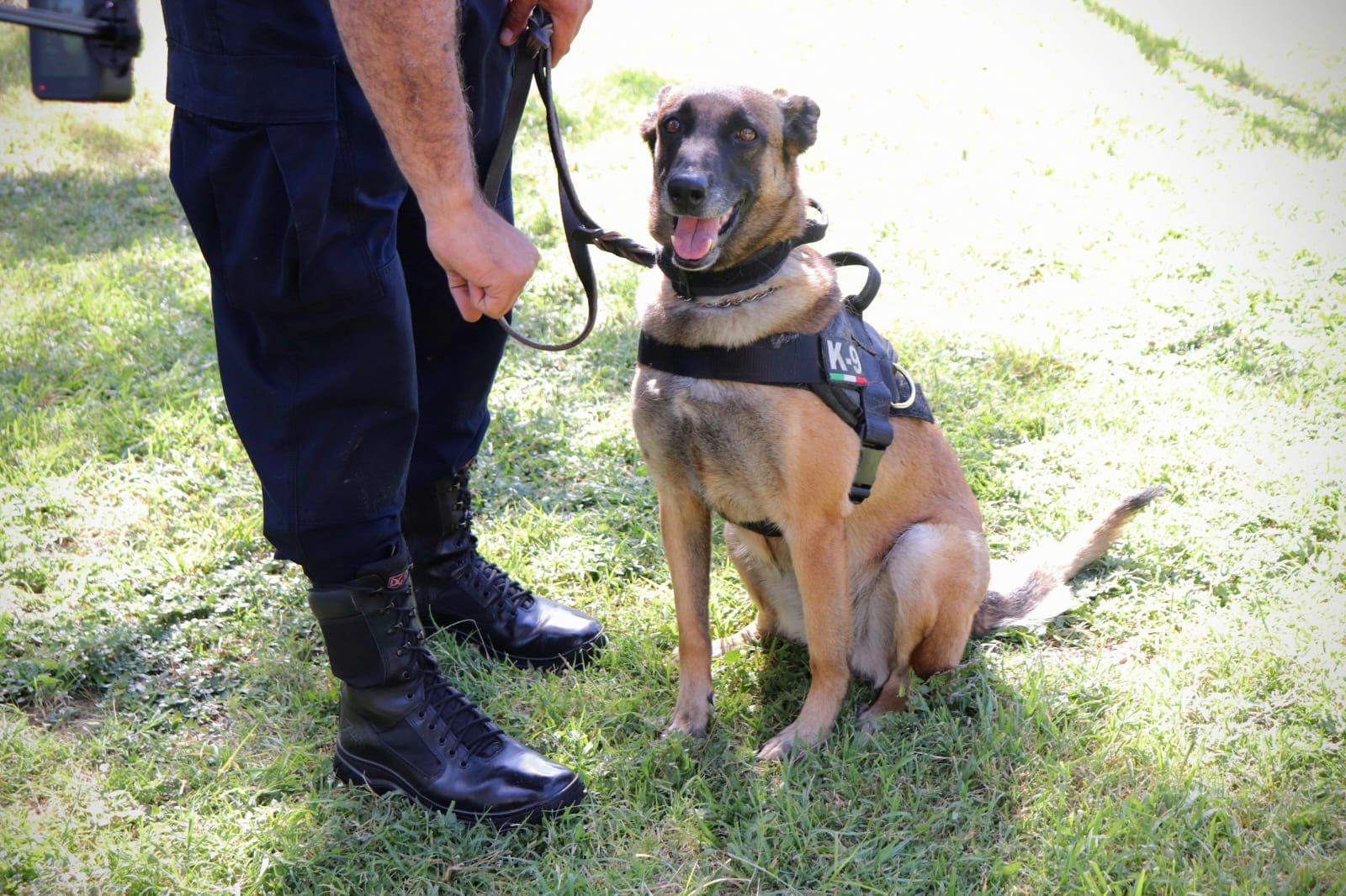 Busca Grupo K-9 de la Policía Municipal certificación en función policial y detección de olores
