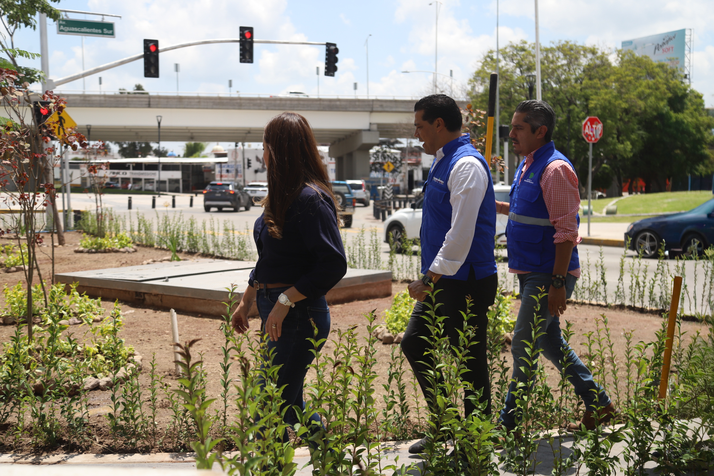 Encabeza Leo Montañez arborización en el Parque del Papa