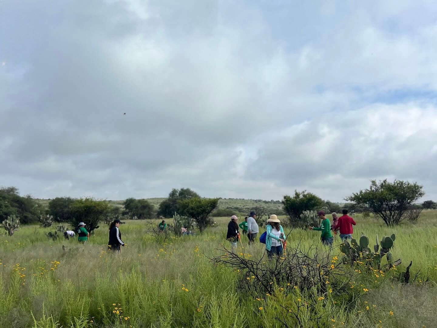 Secretaría de Medio Ambiente y ciudadanía unen esfuerzos para reforestar el bosque de Cobos-Parga