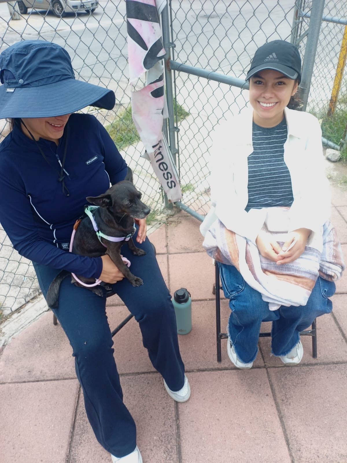 Llevarán nueva campaña de esterilización canina y felina gratuita al sur de la ciudad