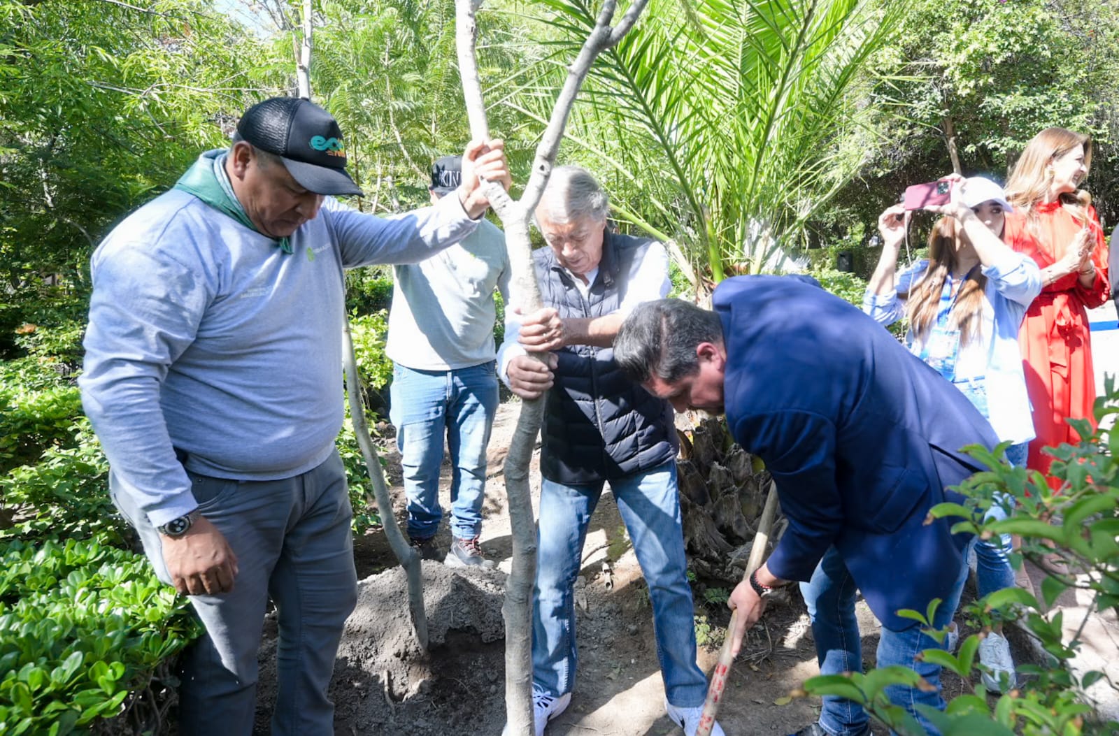 Municipio planta árboles emblemáticos con motivo del 450 Aniversario de la Fundación de la Ciudad