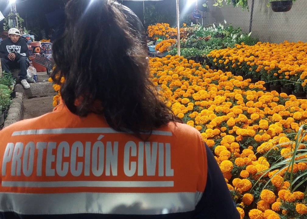 Arrancará la instalación del tradicional tianguis de los Muertitos 2025