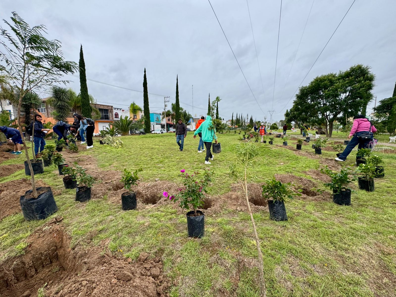 Con éxito concluye la campaña de reforestación “Árboles Fuertes, Huellas Gigantes 2025”