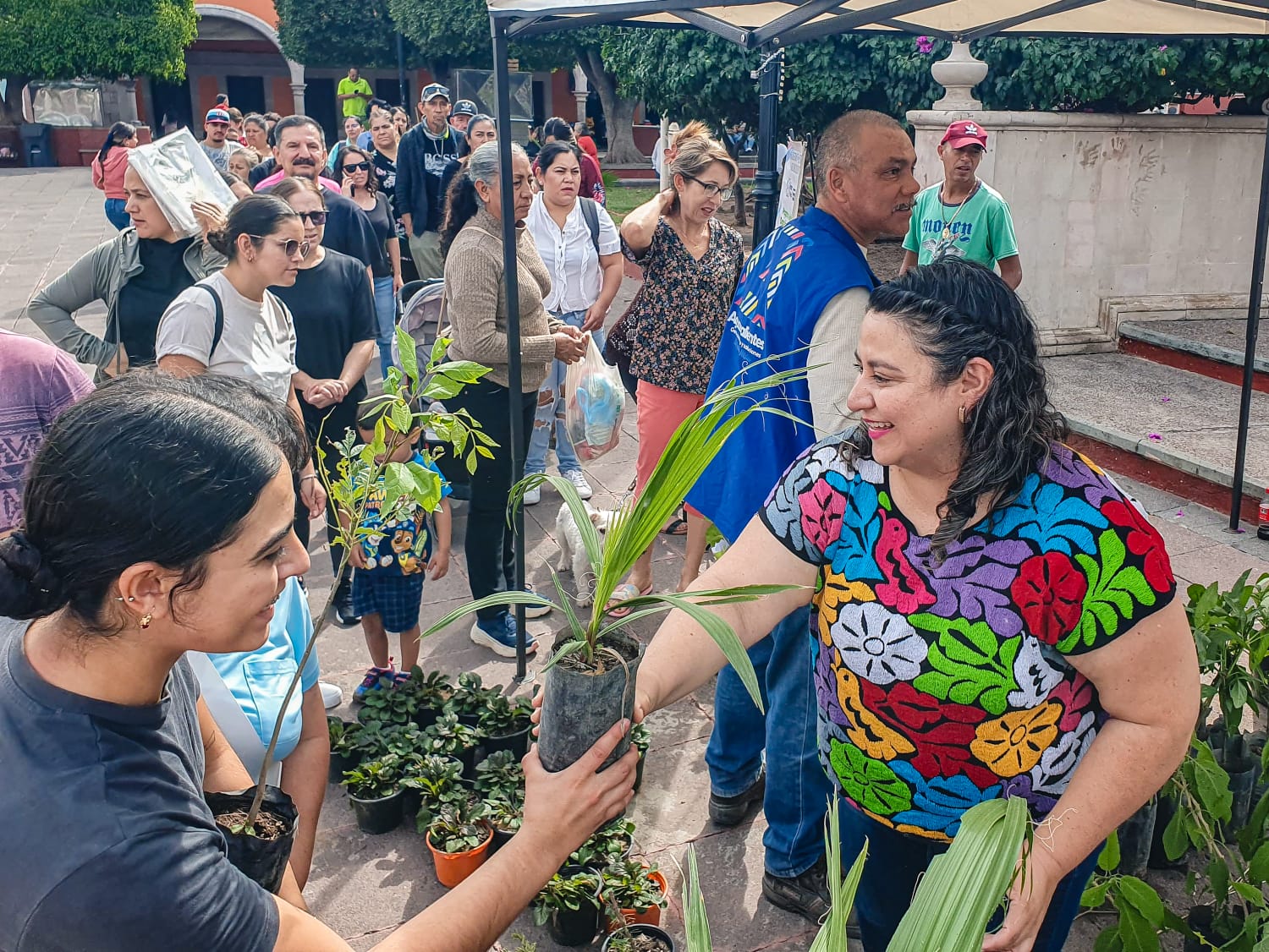 Arman jornada de donación de plantas en Calvillo