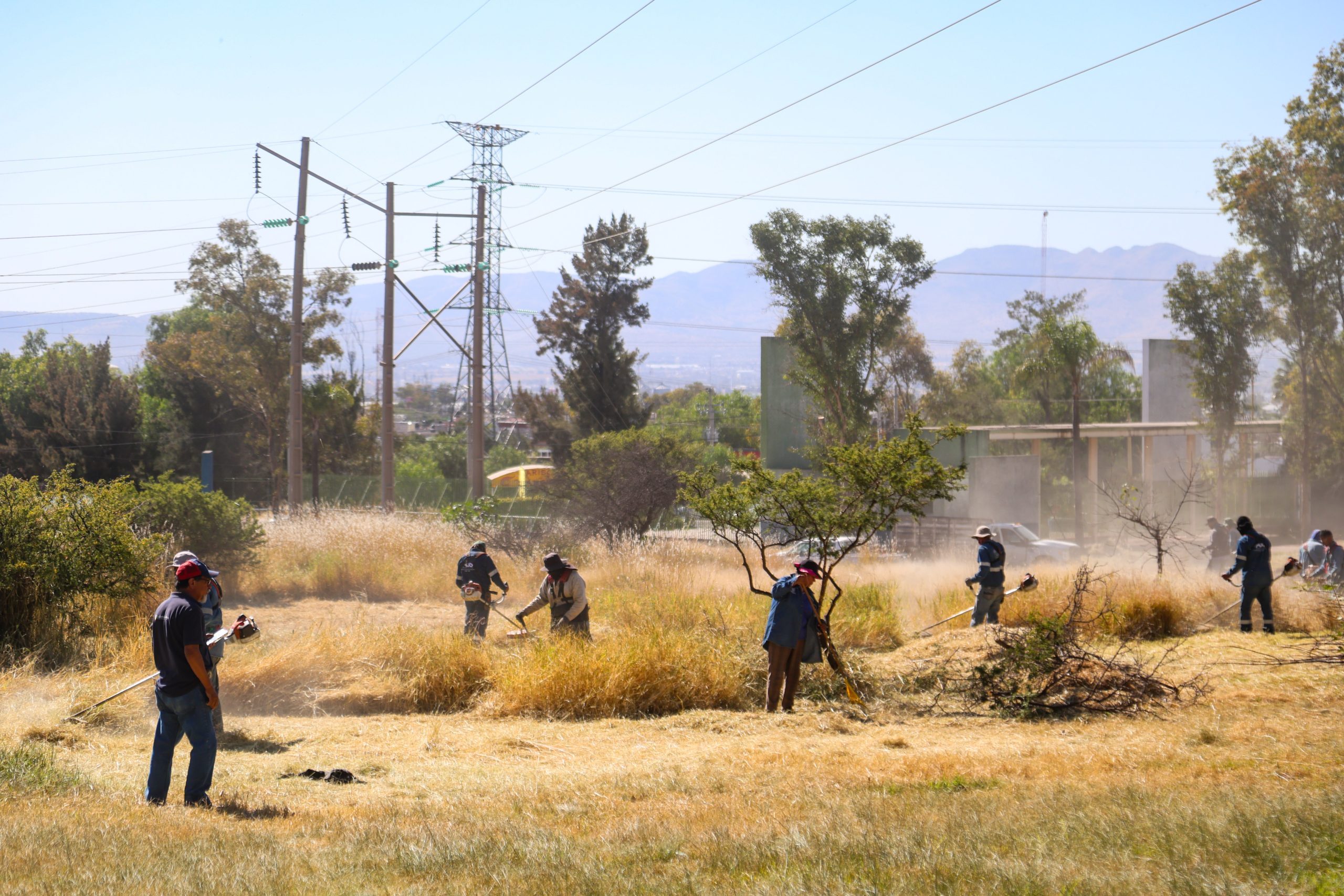 Encabeza Leo Montañez rehabilitación integral del Parque México