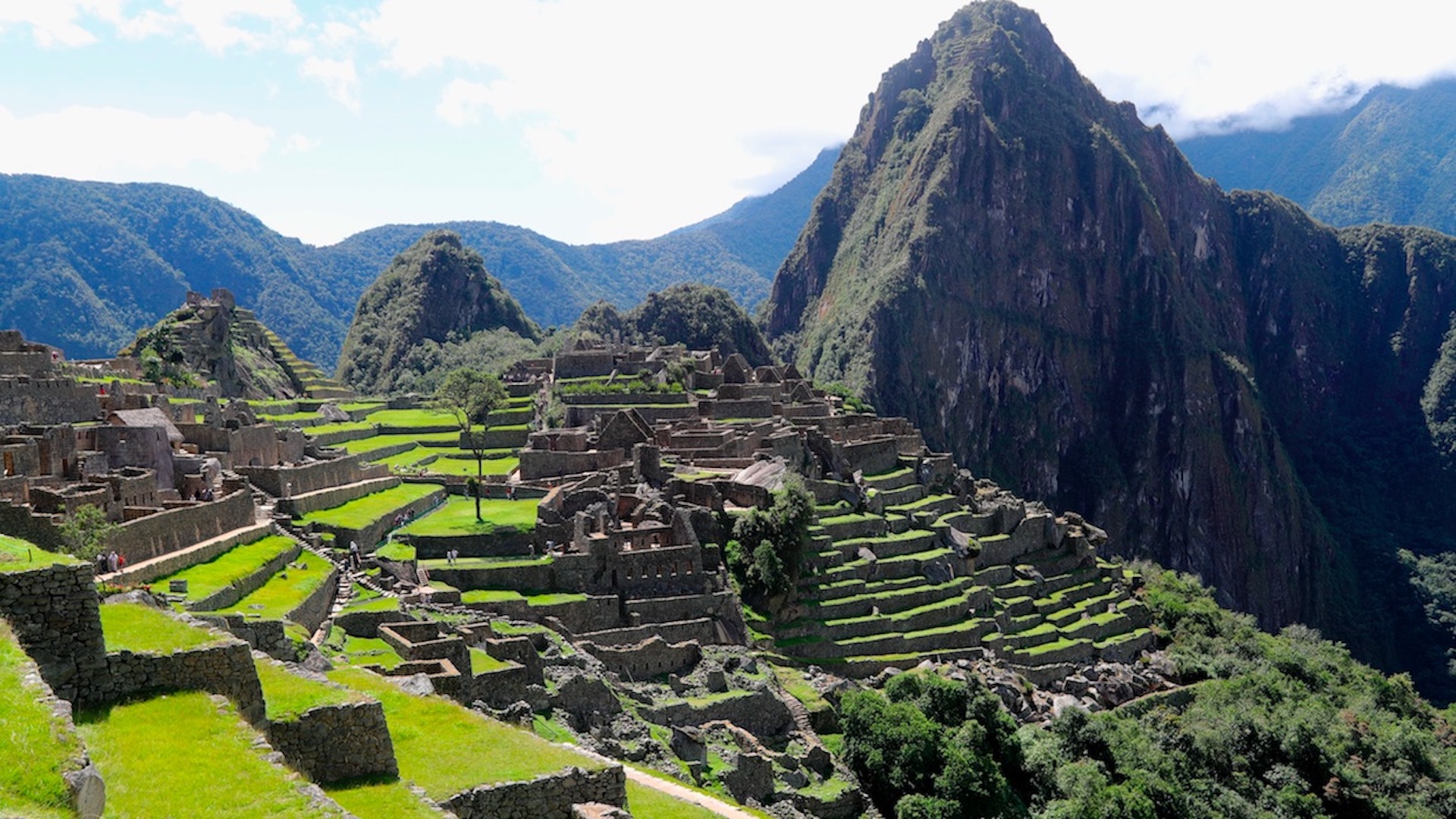 Un muerto y al menos 30 heridos deja el choque frontal de trenes en vía a Machu Picchu