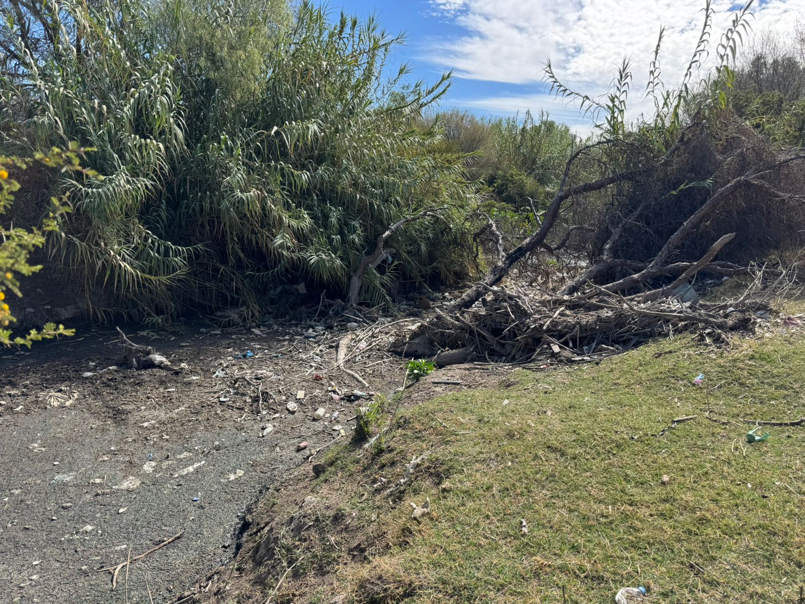 Más de 180 toneladas de basura fueron retiradas del Río San Pedro en la segunda jornada de limpieza