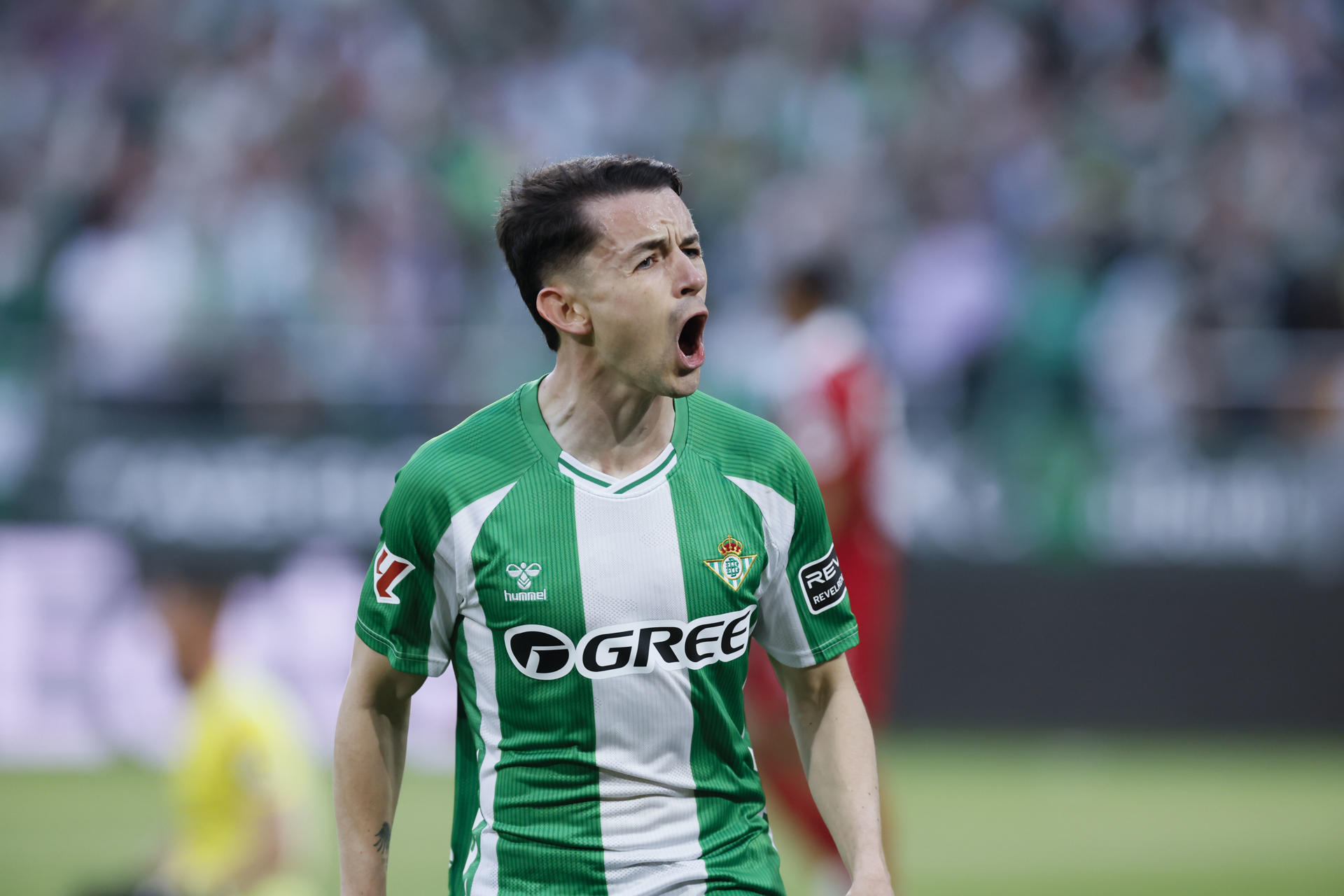 Fidalgo, Vargas y Ochoa destacan en lista de México para juegos ante Portugal y Bélgica