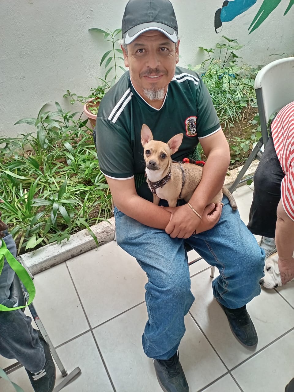 La coordinación general de salud e ISSEA llevarán jornada de esterilización al CEDECO Ojocalientes y Villa Loma Dorada