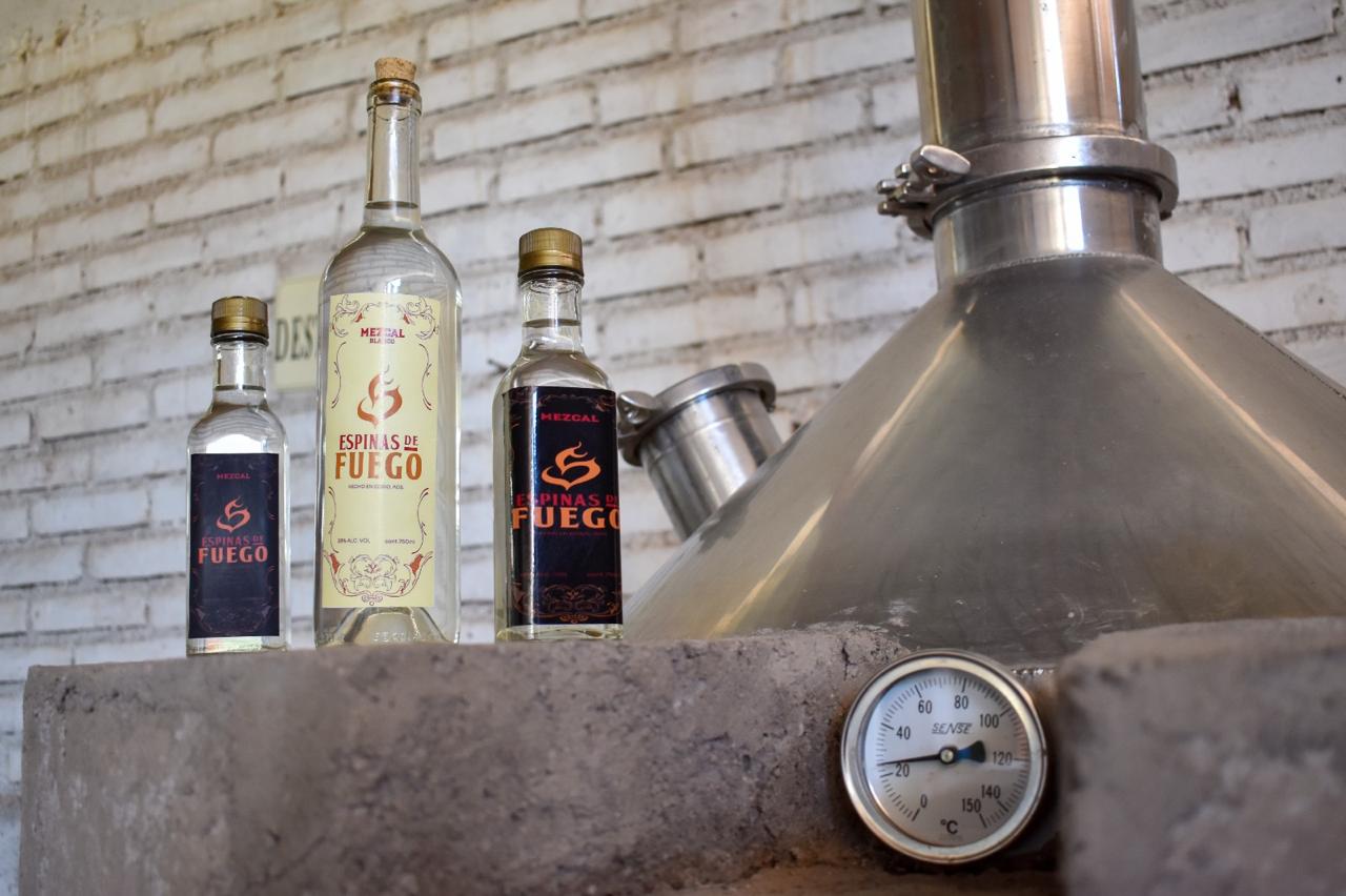 Diseñan estrategias que impulsen la exportación y posicionamiento de mezcal en Aguascalientes