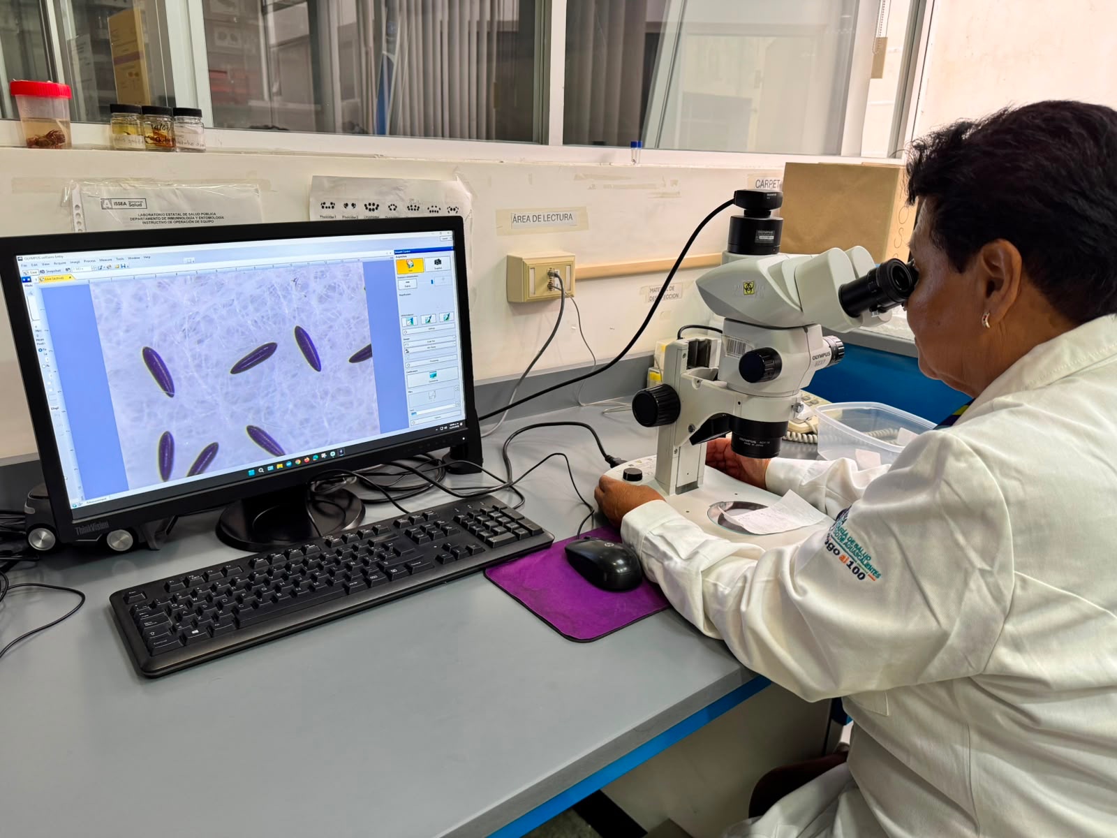 Aguascalientes implementa nueva estrategia para combatir el dengue
