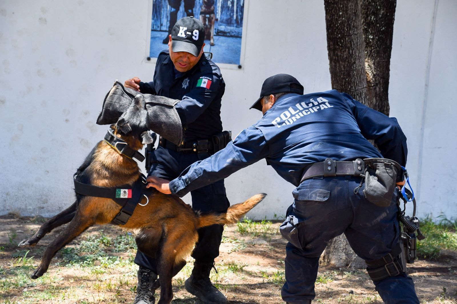 En el marco del Día Mundial del Perro, reconoce municipio labor de la unidad K-9 de la policía municipal