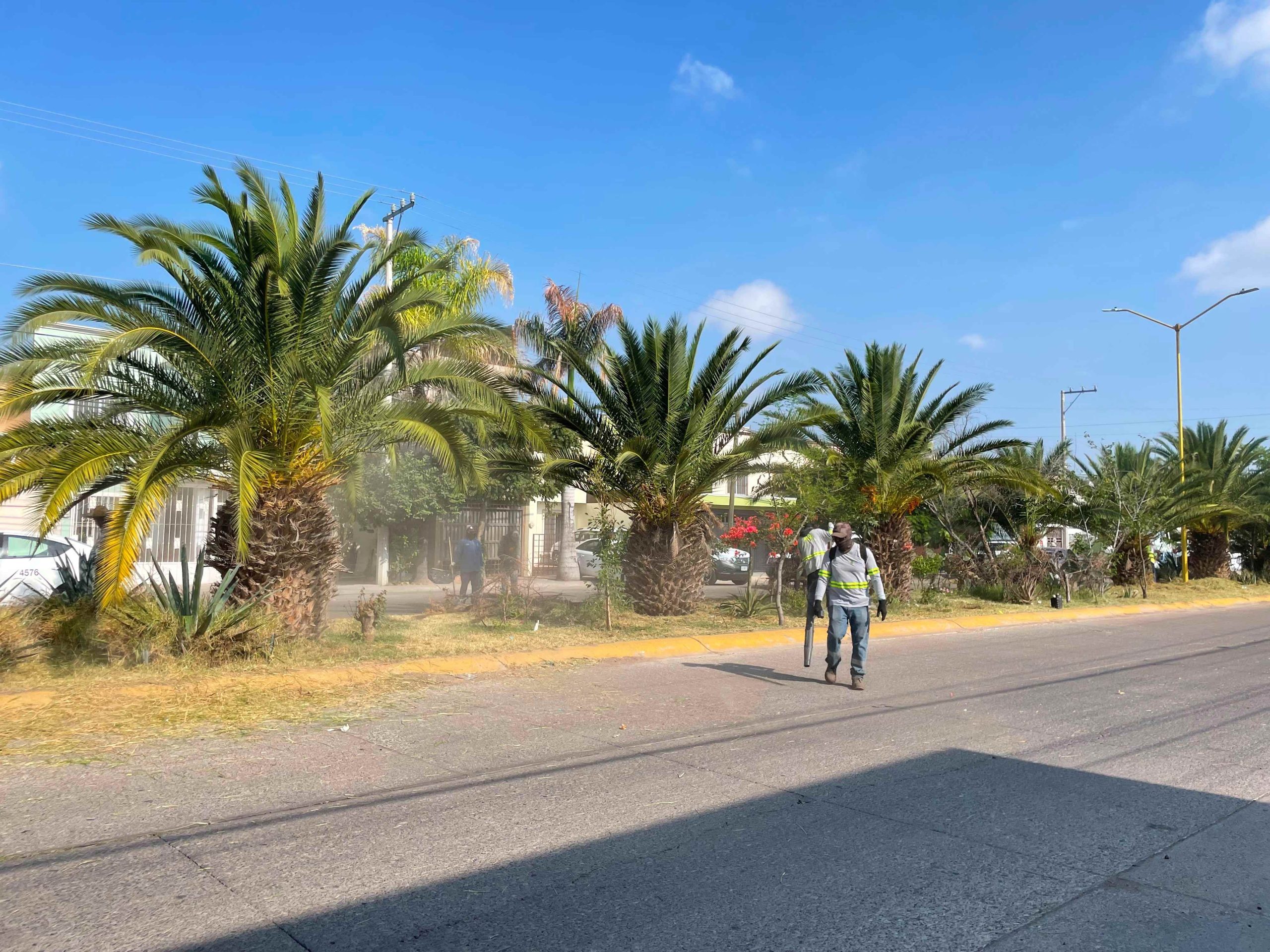 Realiza Municipio de Aguascalientes mega operativo de desmalezado y limpieza en la Av. Mariano Escobedo