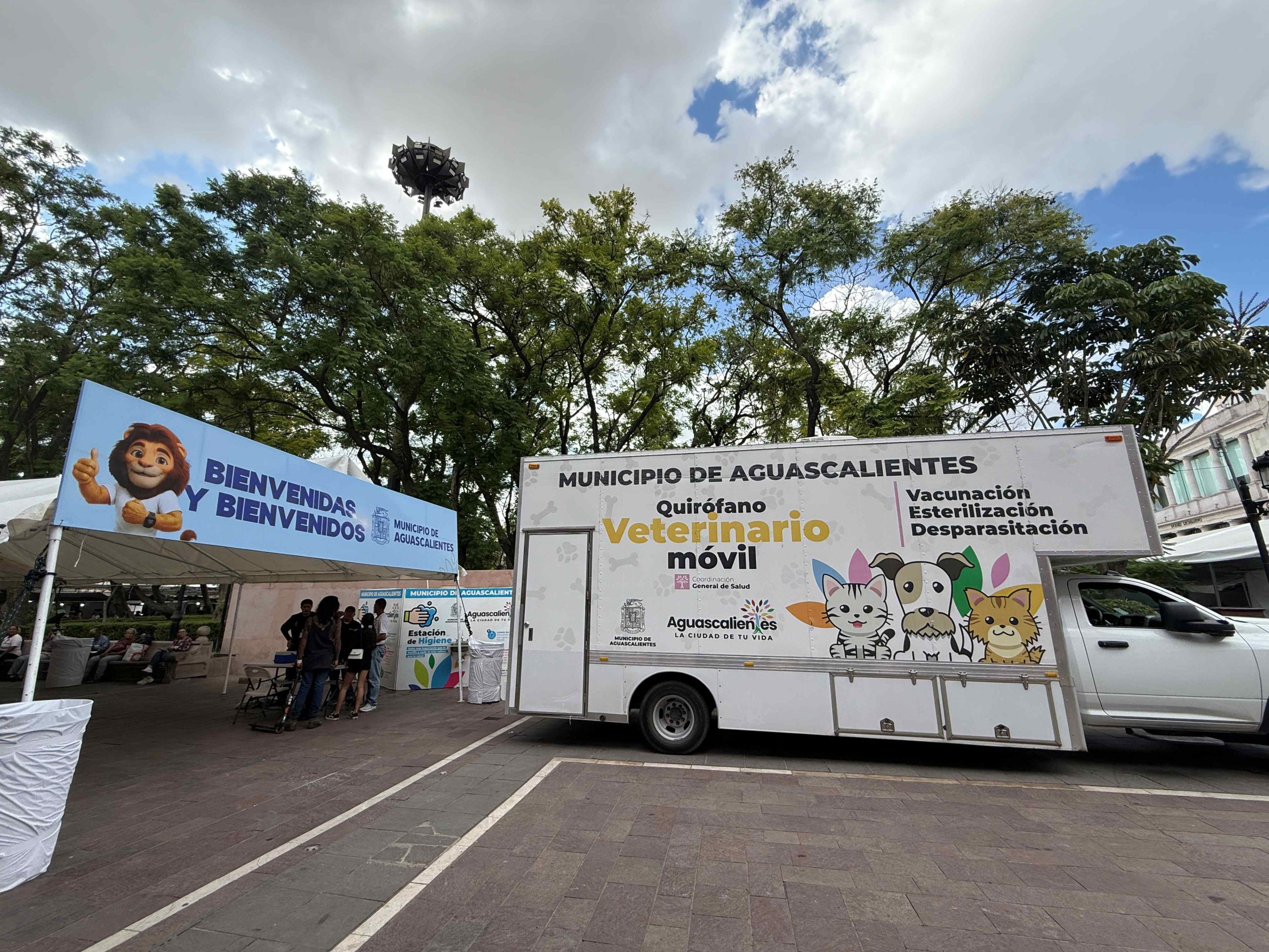Invita municipio a participar en la feria de adopción de mascotas en el Quincenario de la Virgen de la Asunción 2026